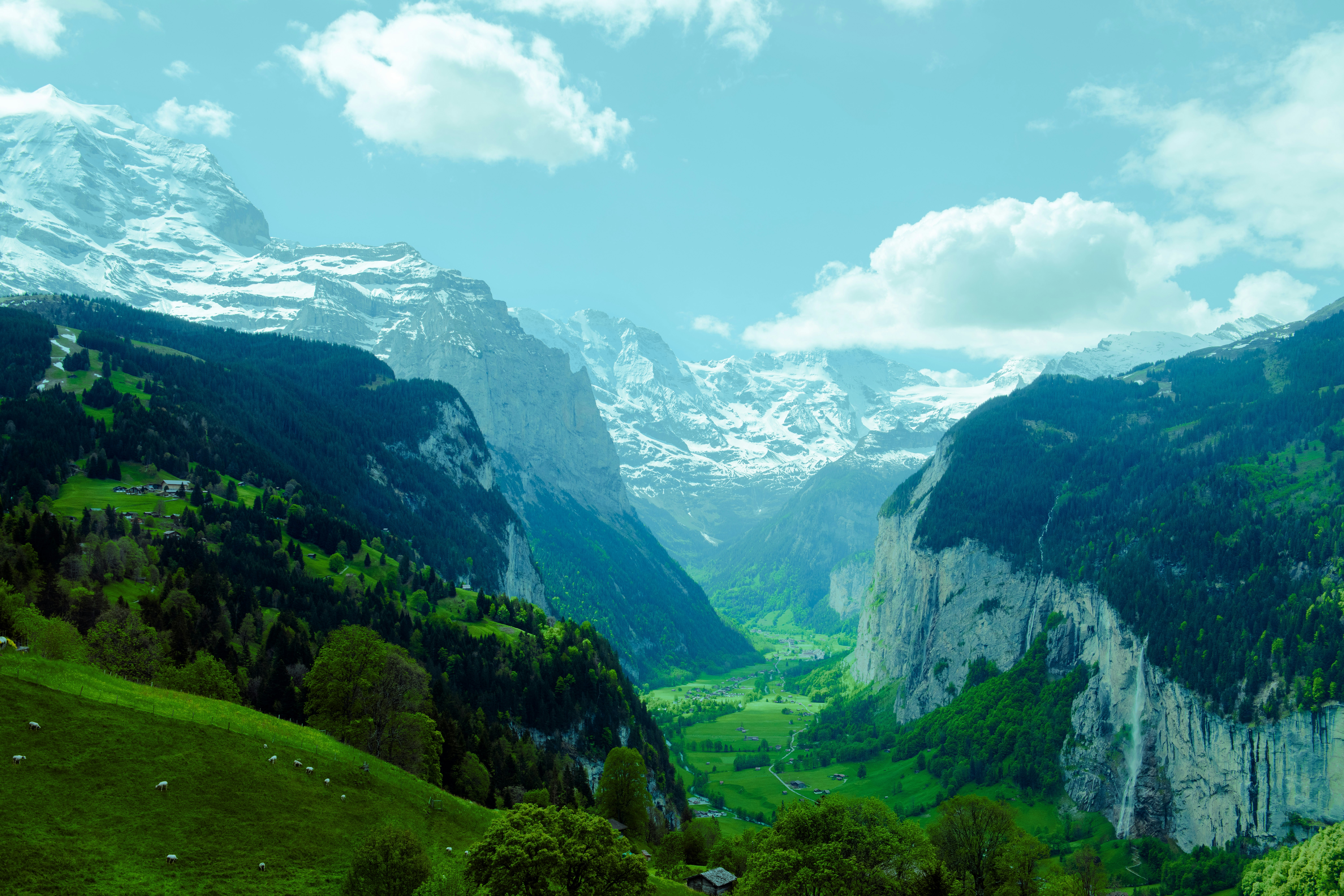 Photo by sriniunsplash