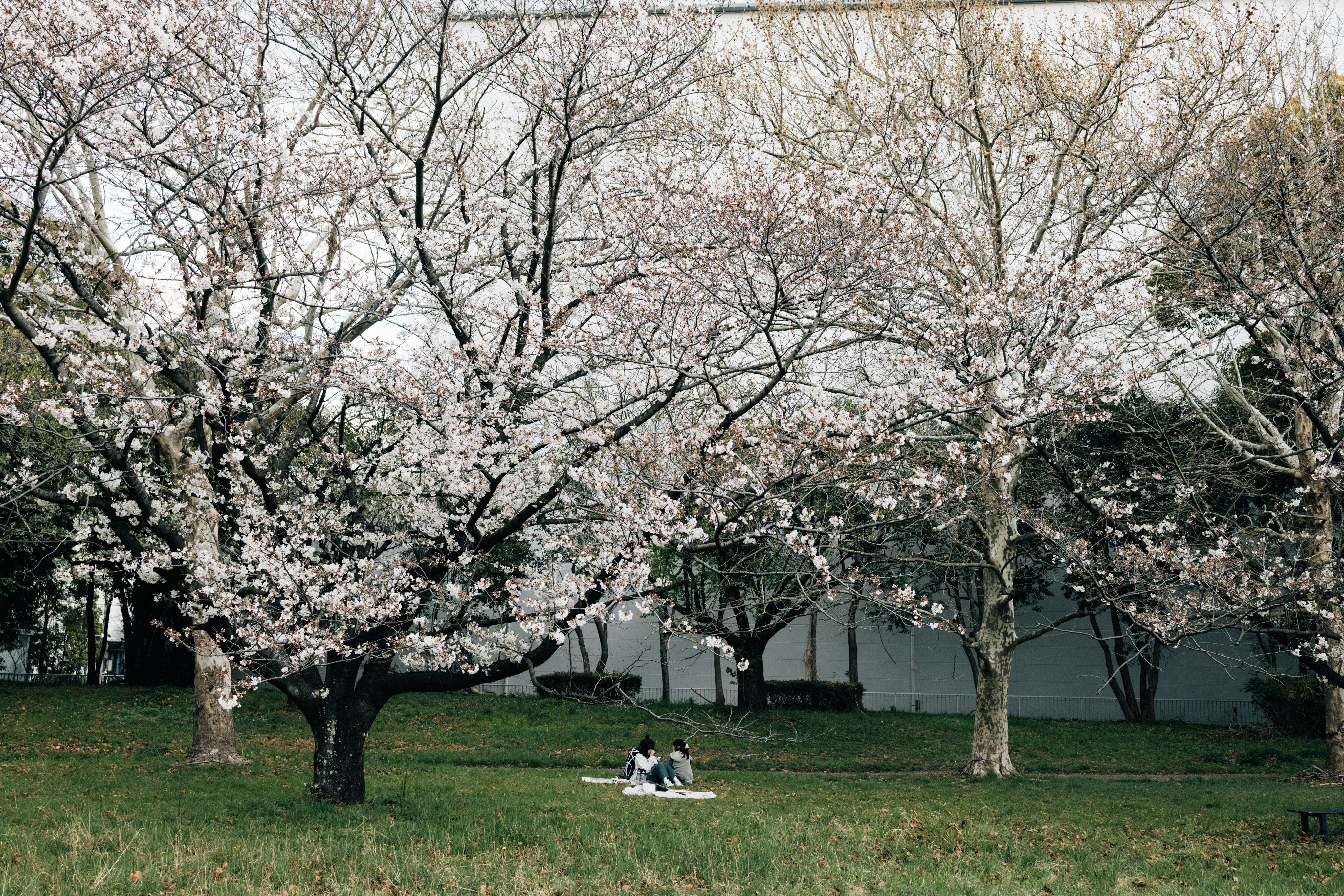 Photo by tsuyoshikozu