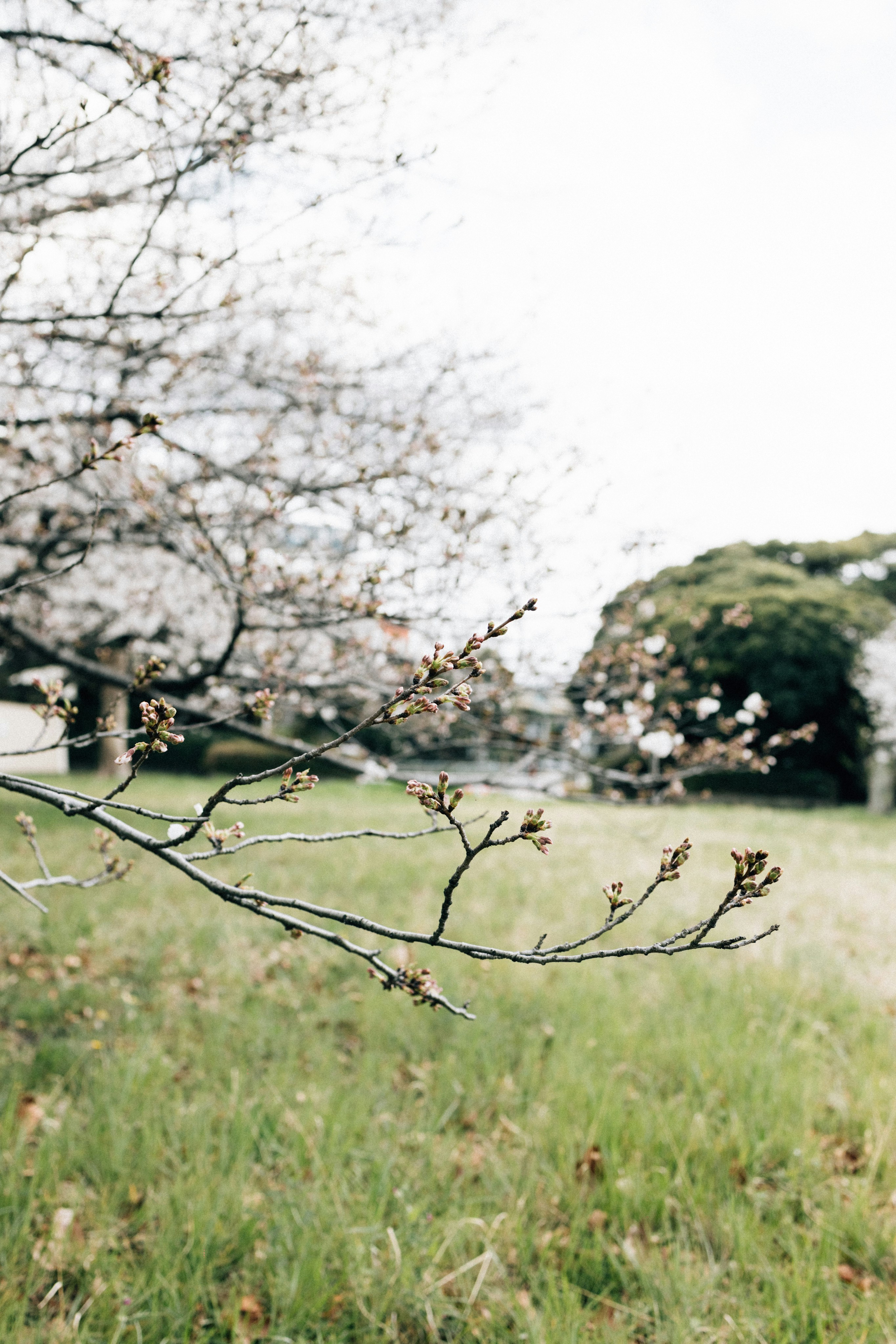 Photo by tsuyoshikozu