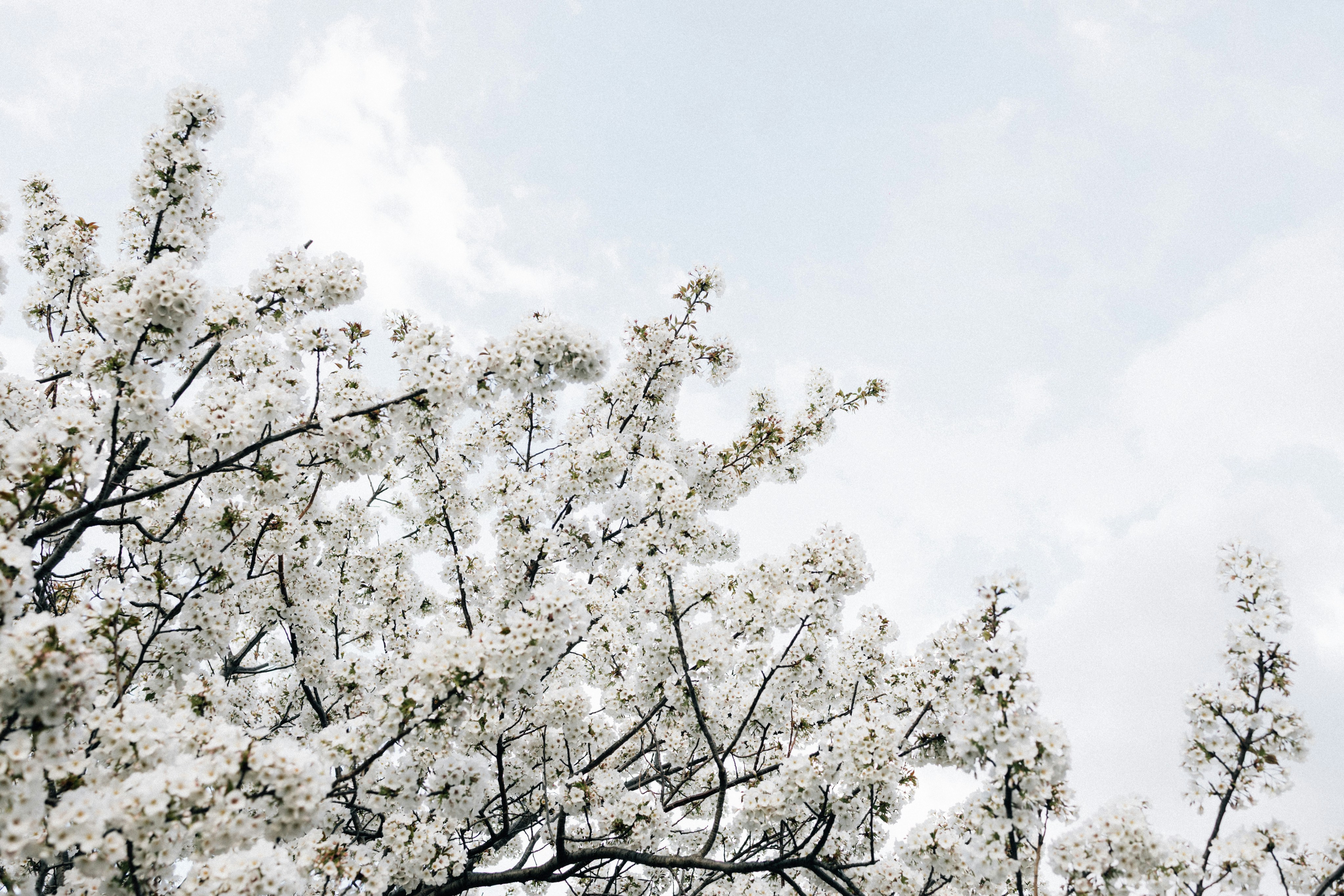 Photo by tsuyoshikozu