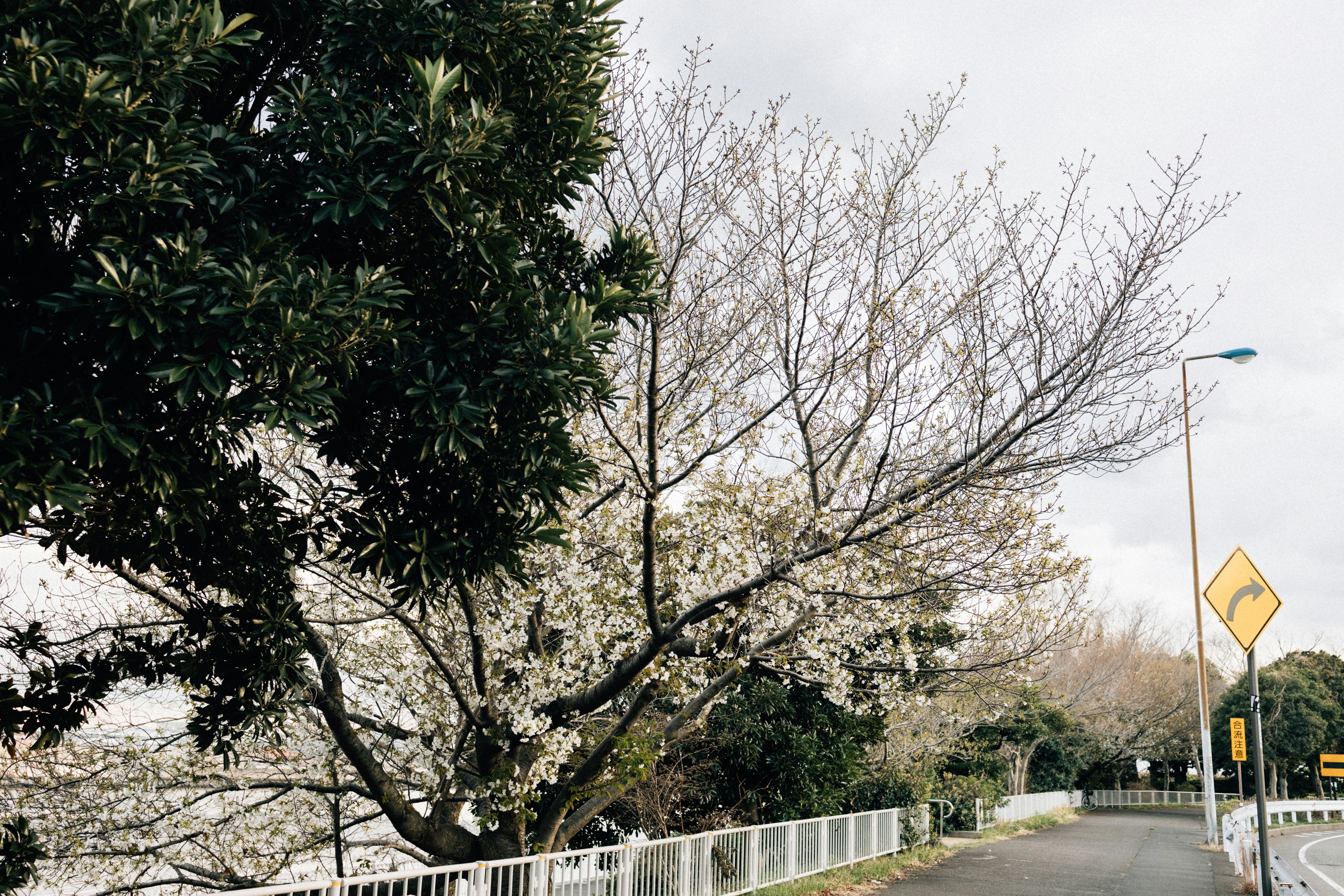 Photo by tsuyoshikozu