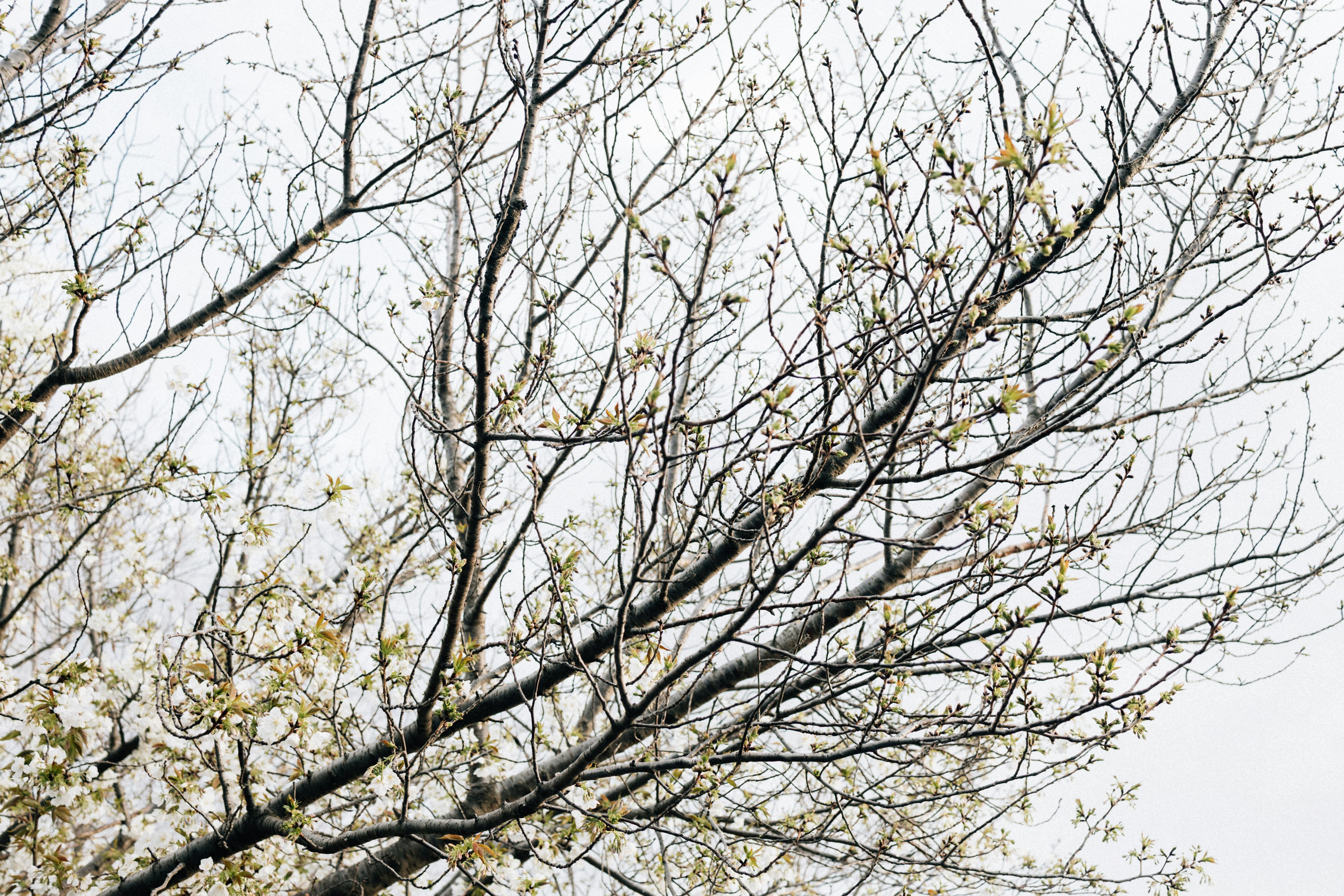 Photo by tsuyoshikozu