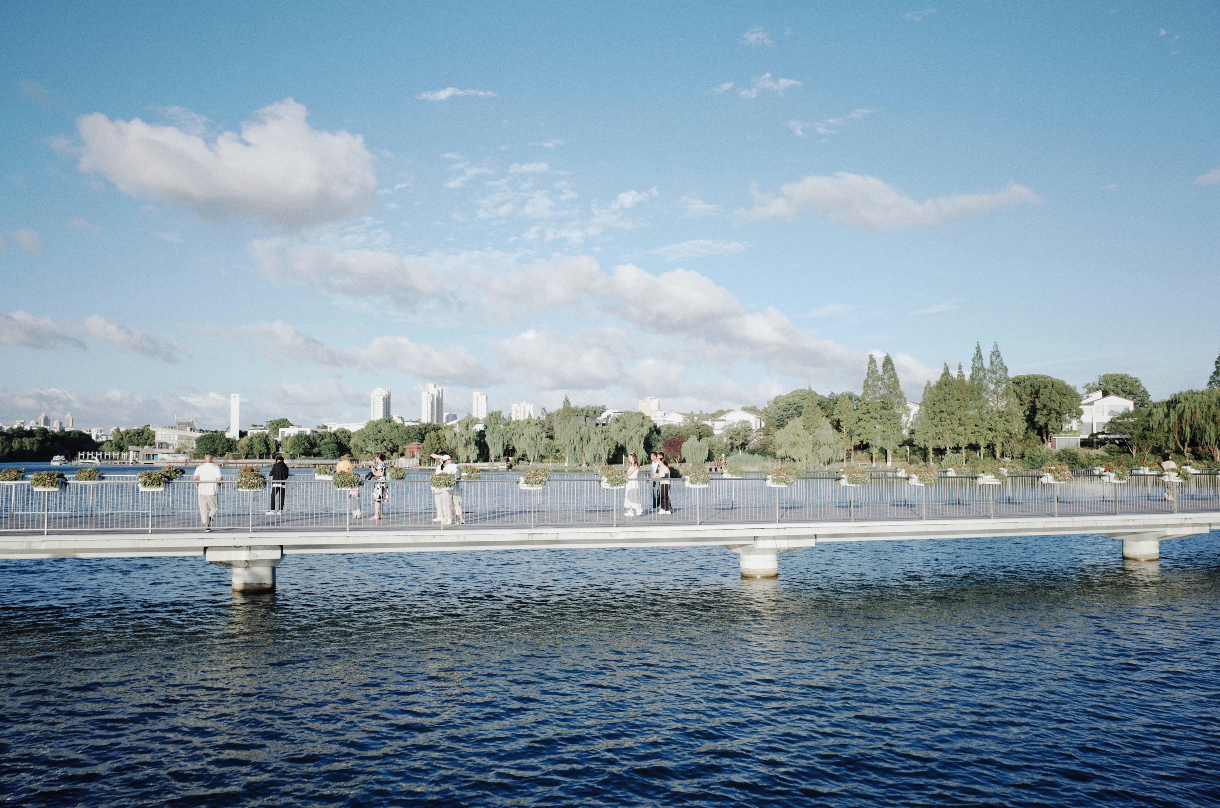 Muehe Memorial Park