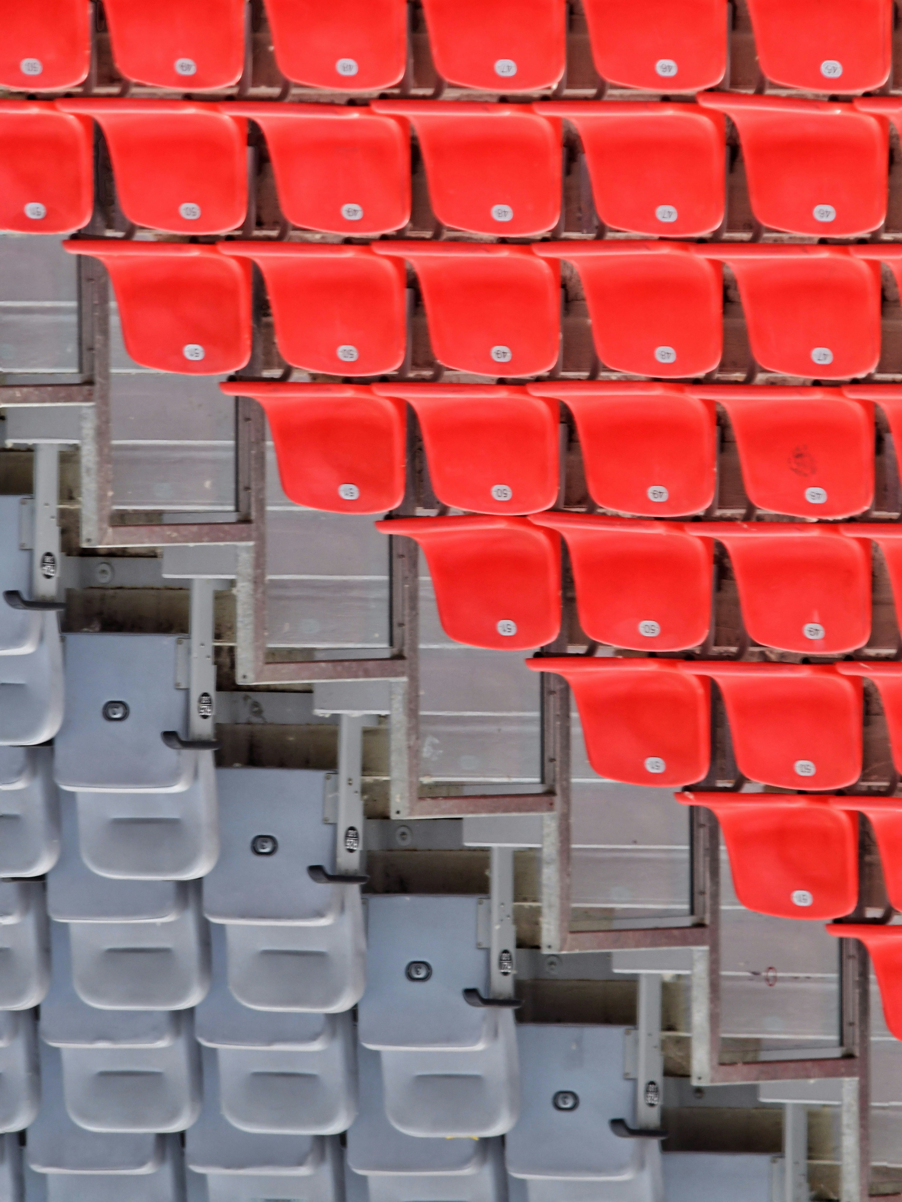 Photo by pedrino5_official