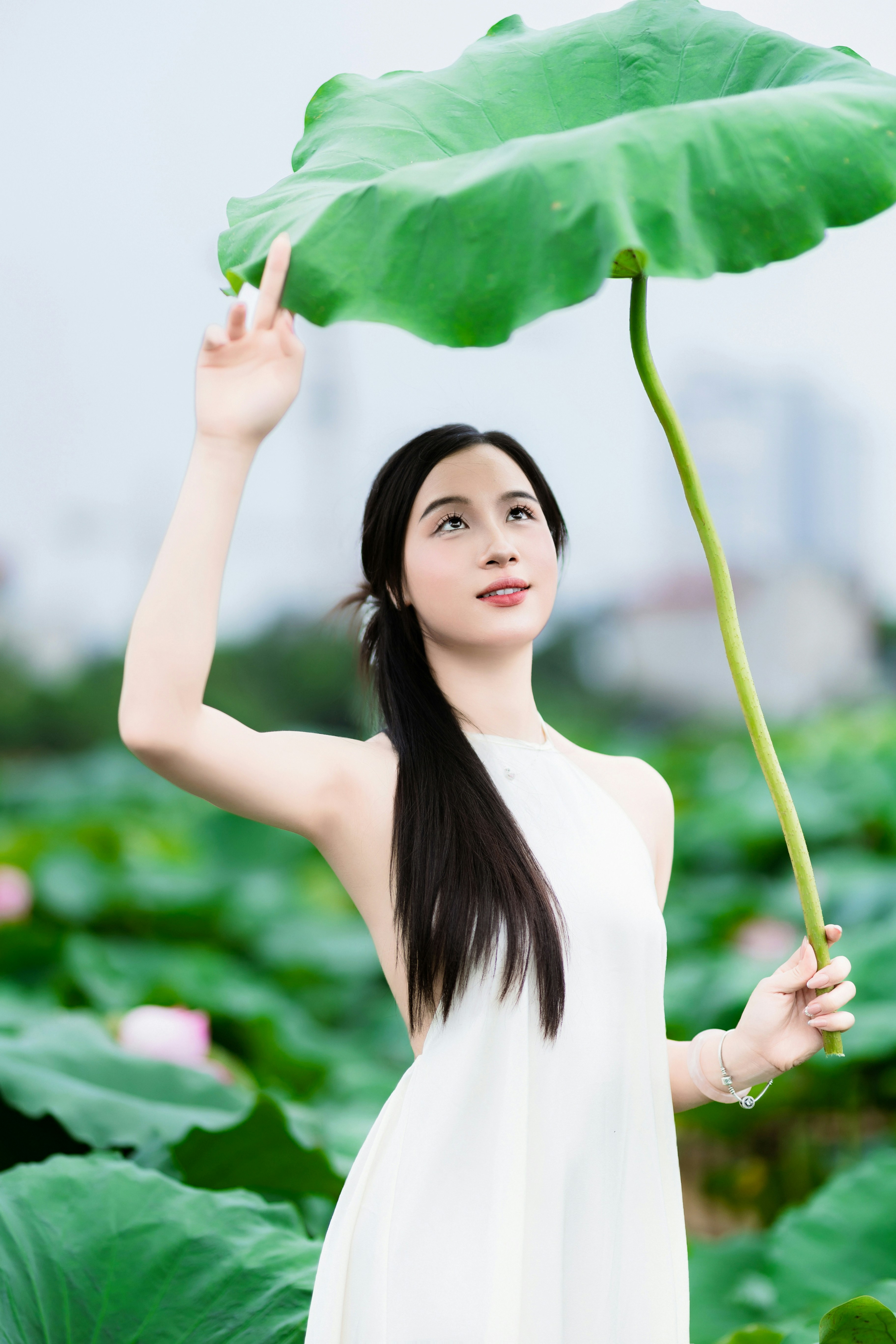 Photo by hieuanhcauam