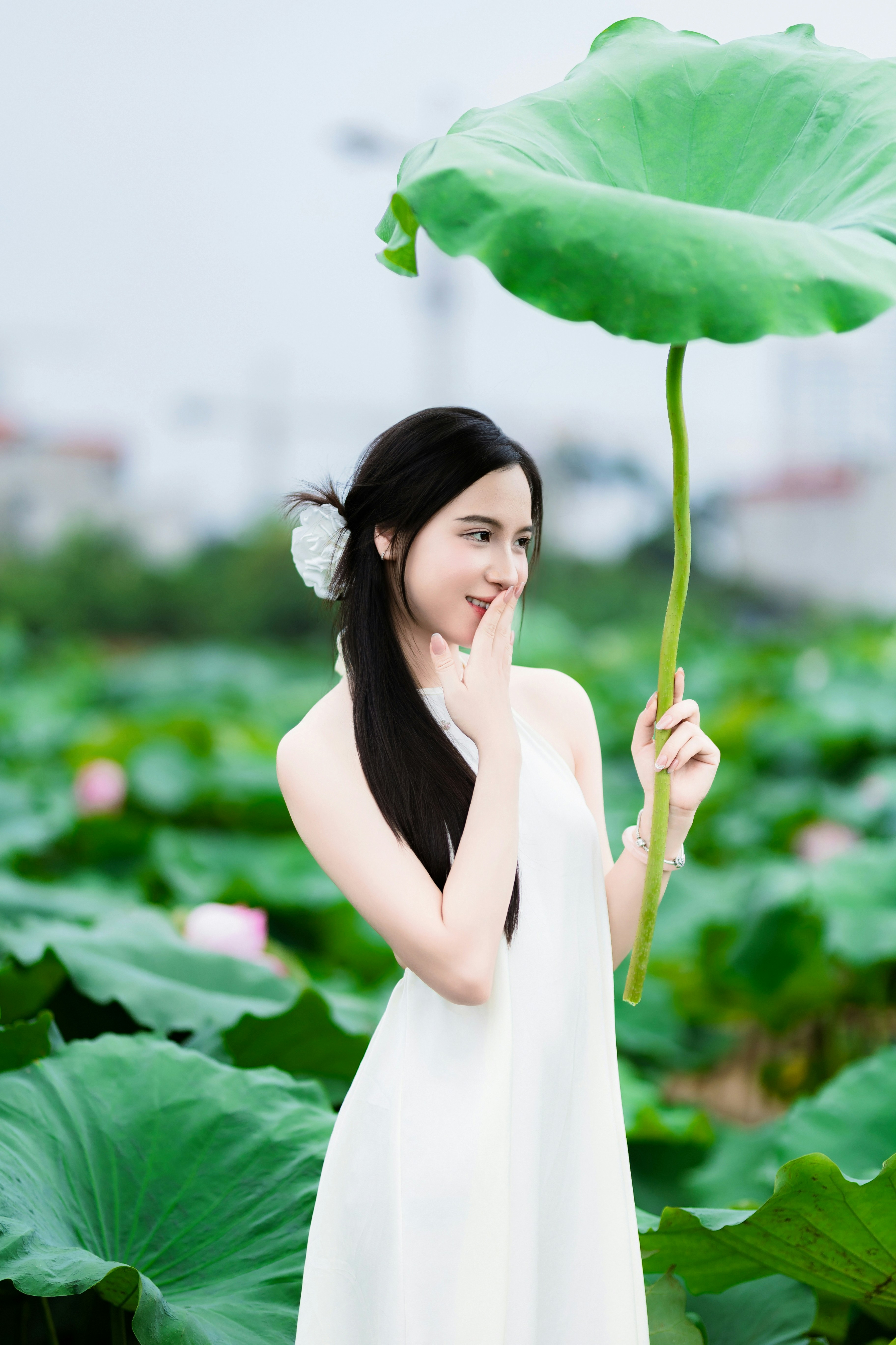 Photo by hieuanhcauam