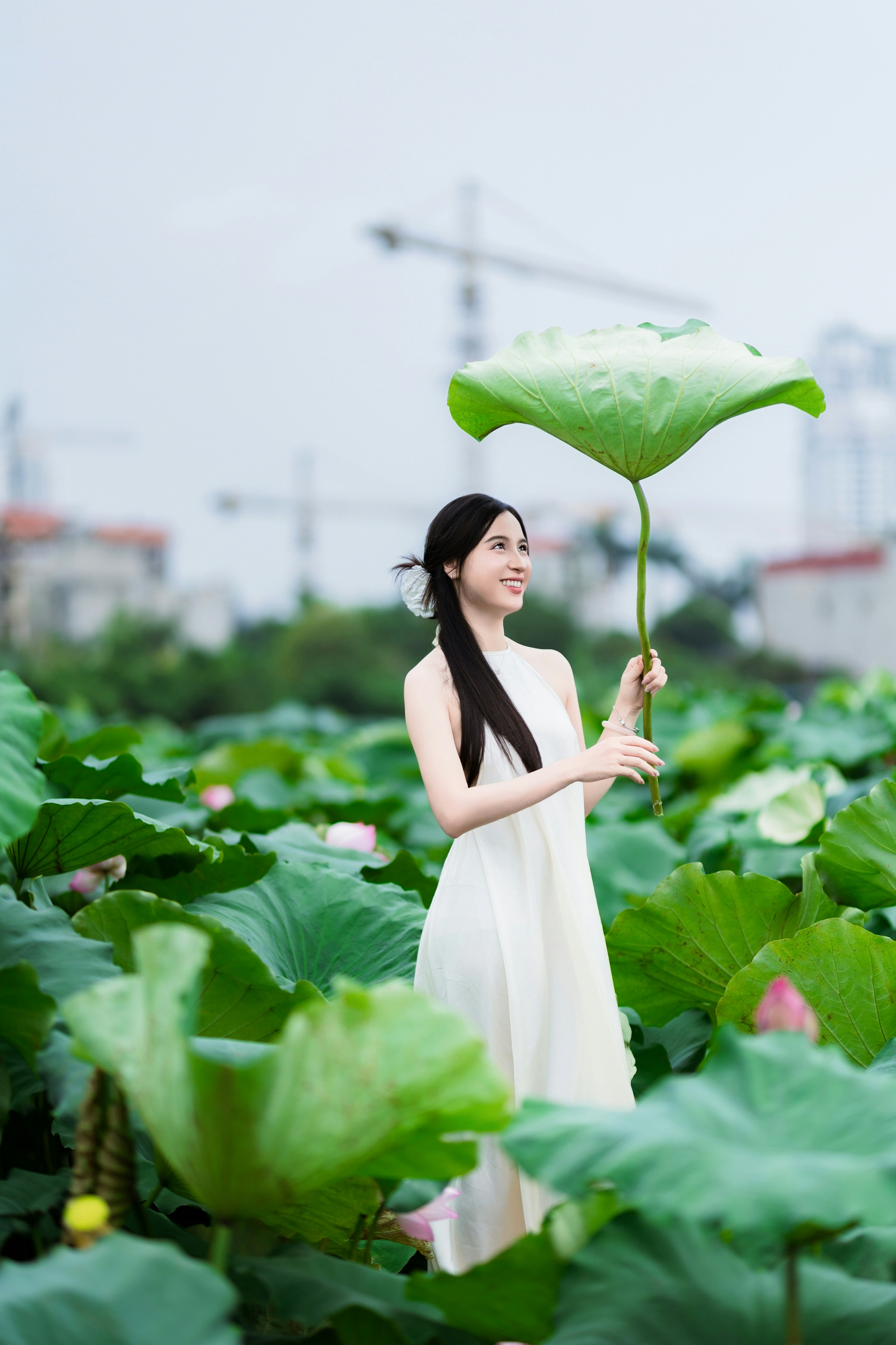 Photo by hieuanhcauam