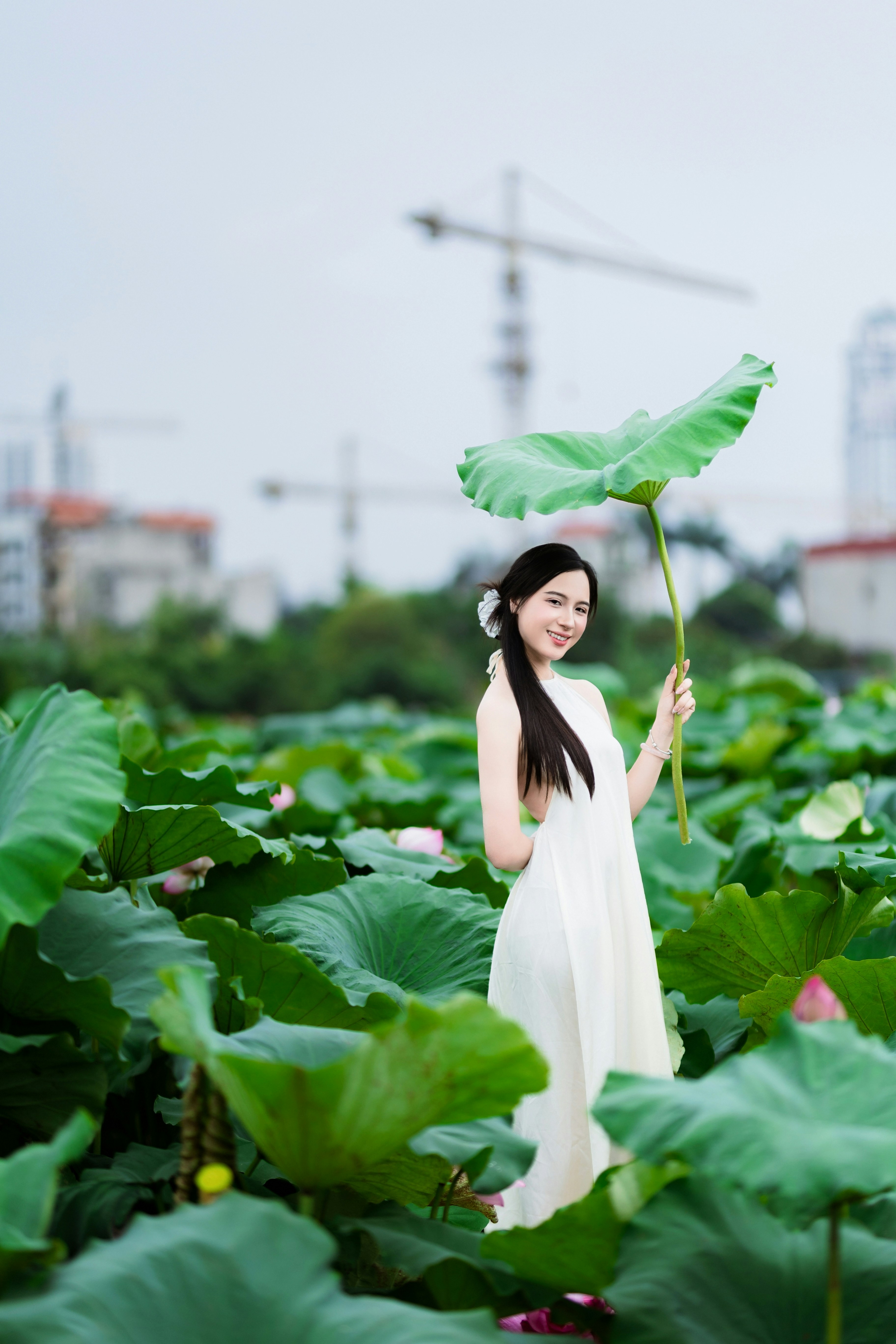 Photo by hieuanhcauam