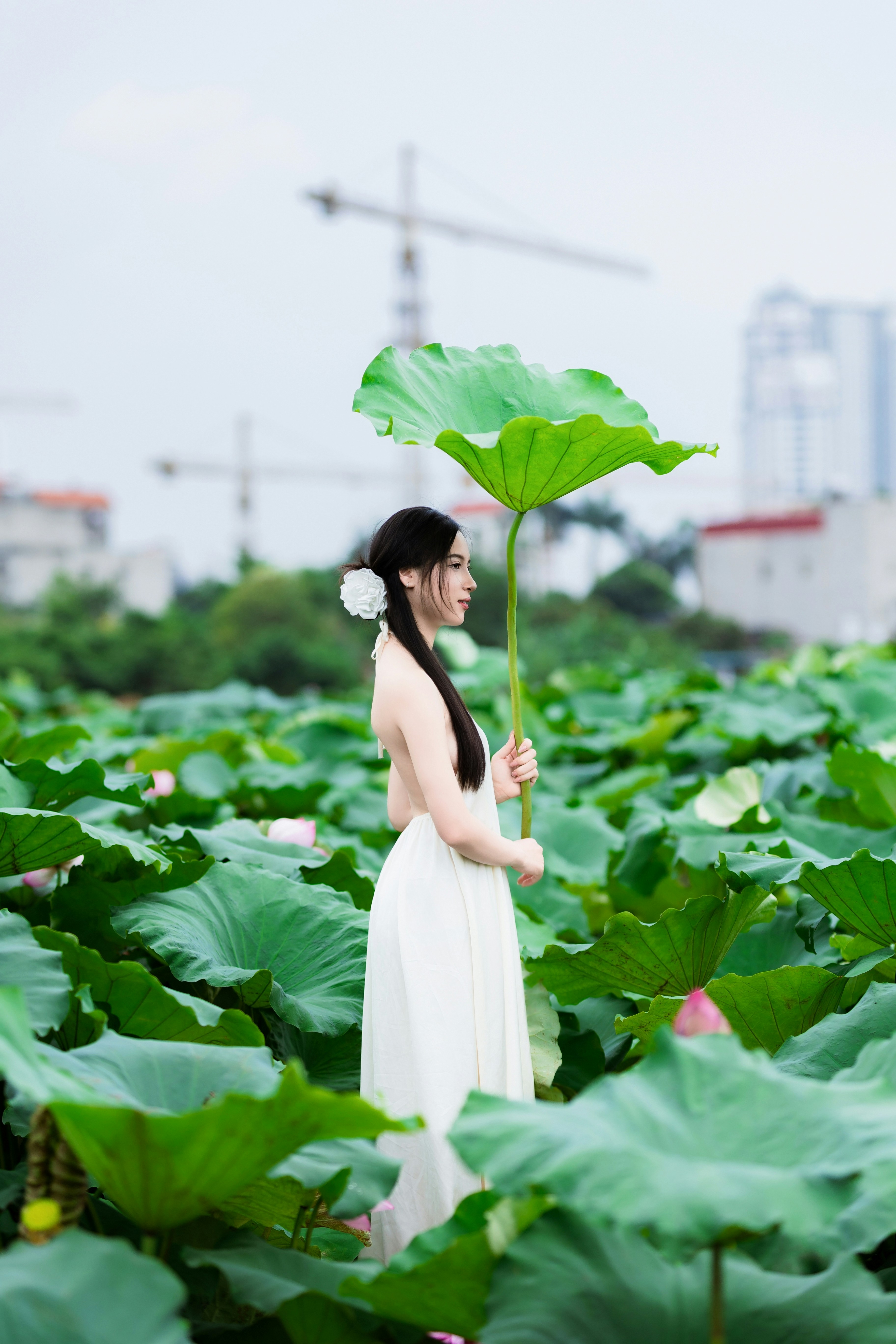 Photo by hieuanhcauam