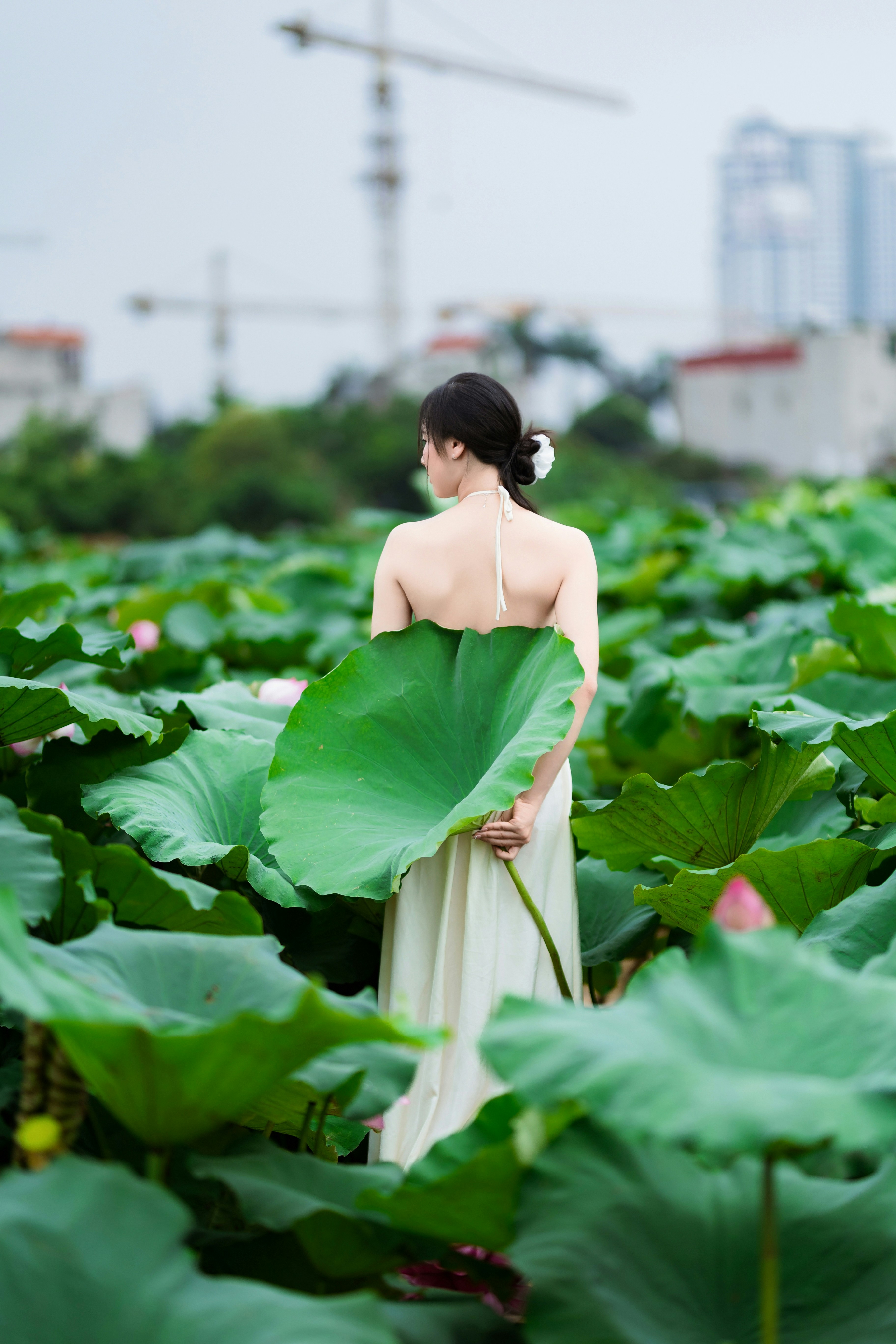 Photo by hieuanhcauam