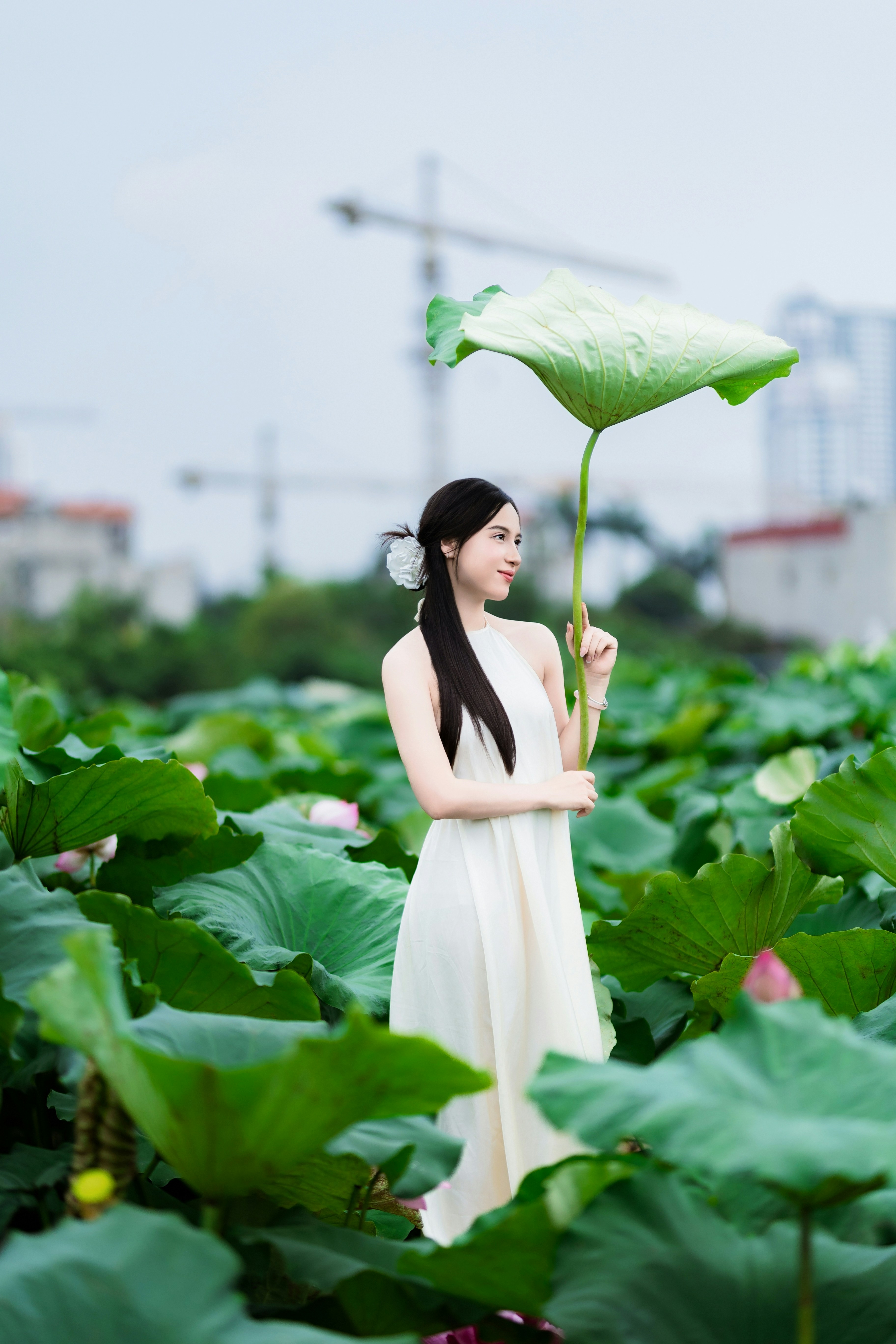 Photo by hieuanhcauam