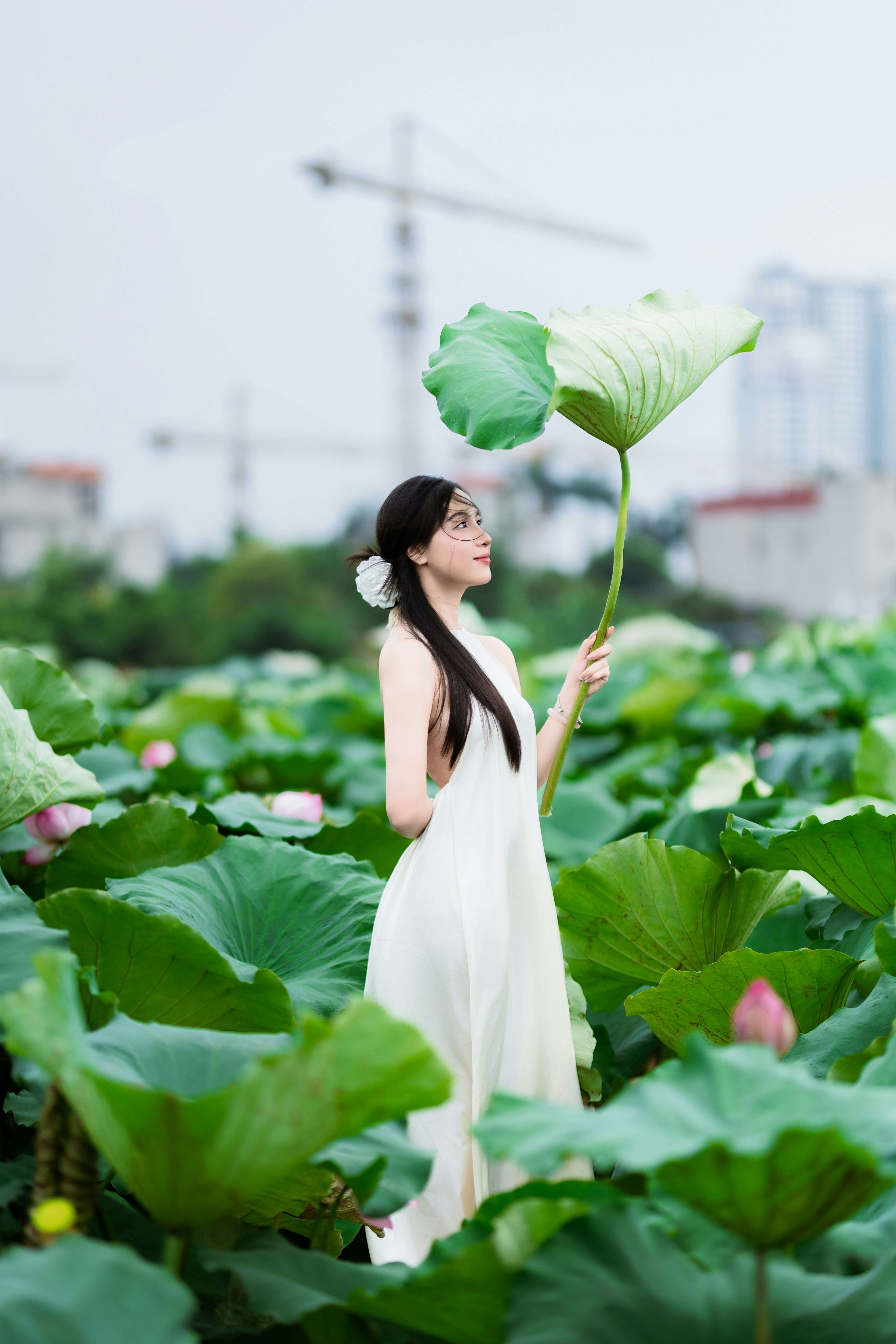 Photo by hieuanhcauam