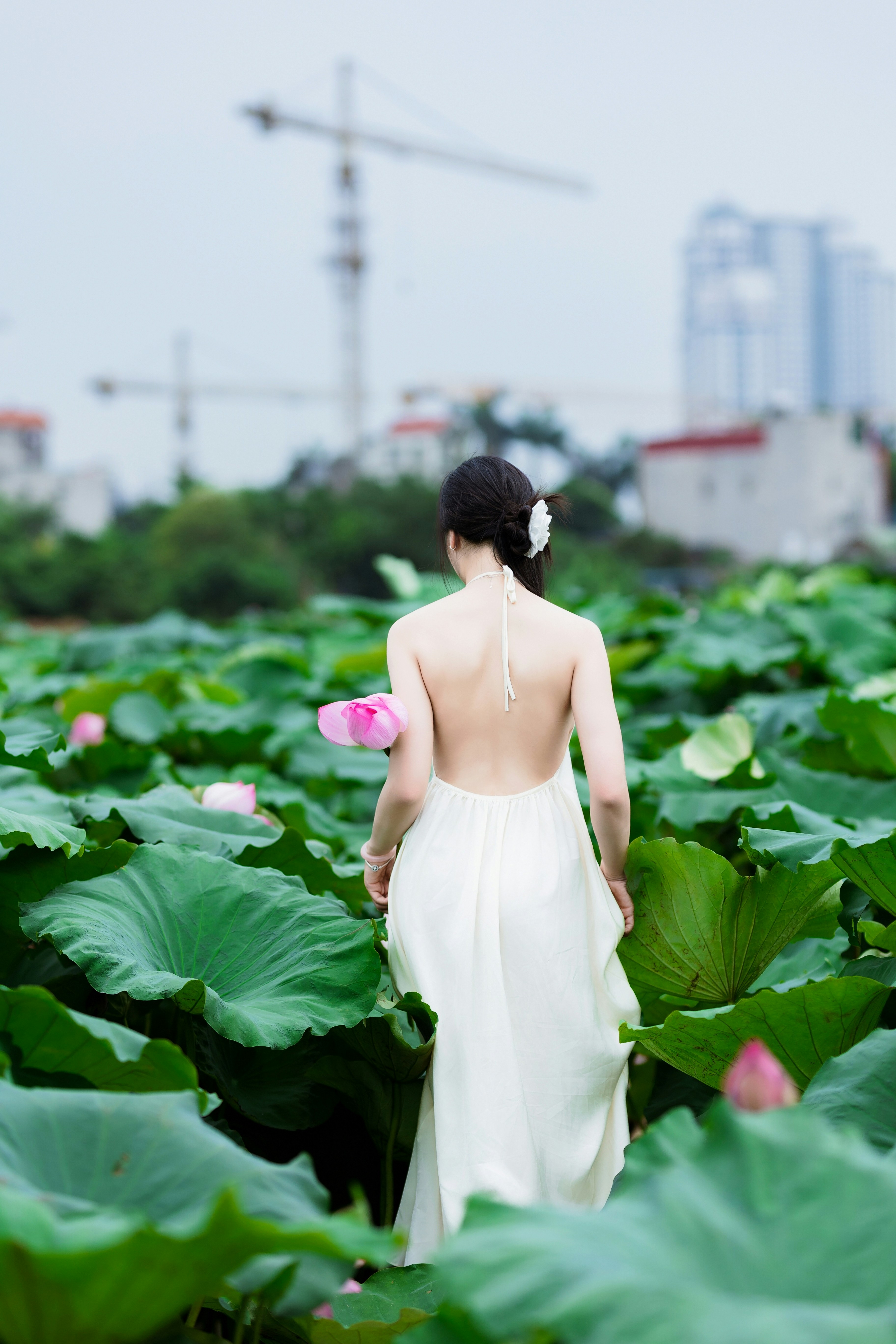 Photo by hieuanhcauam