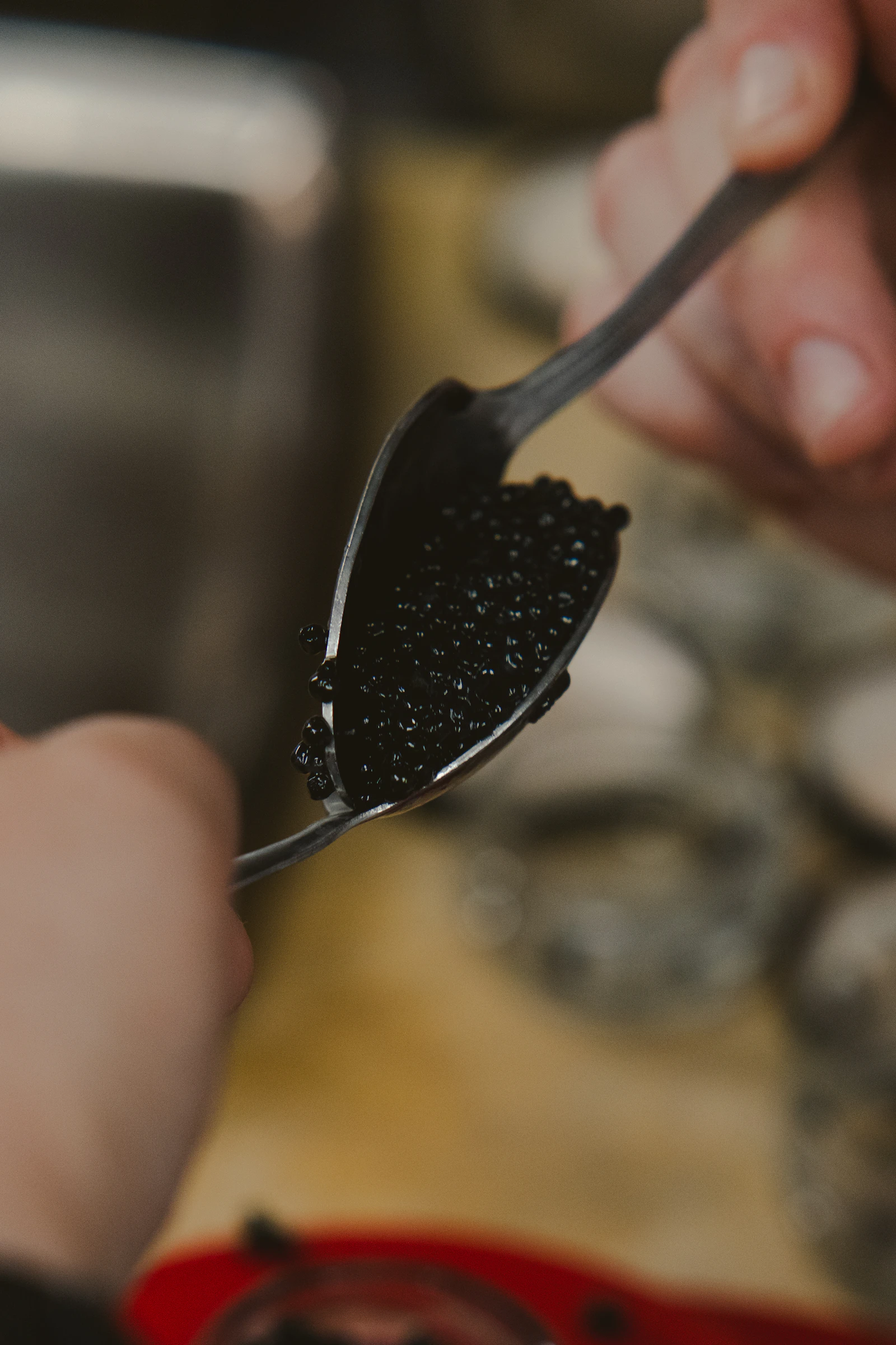 A close view of dark caviar pearls on a spoon