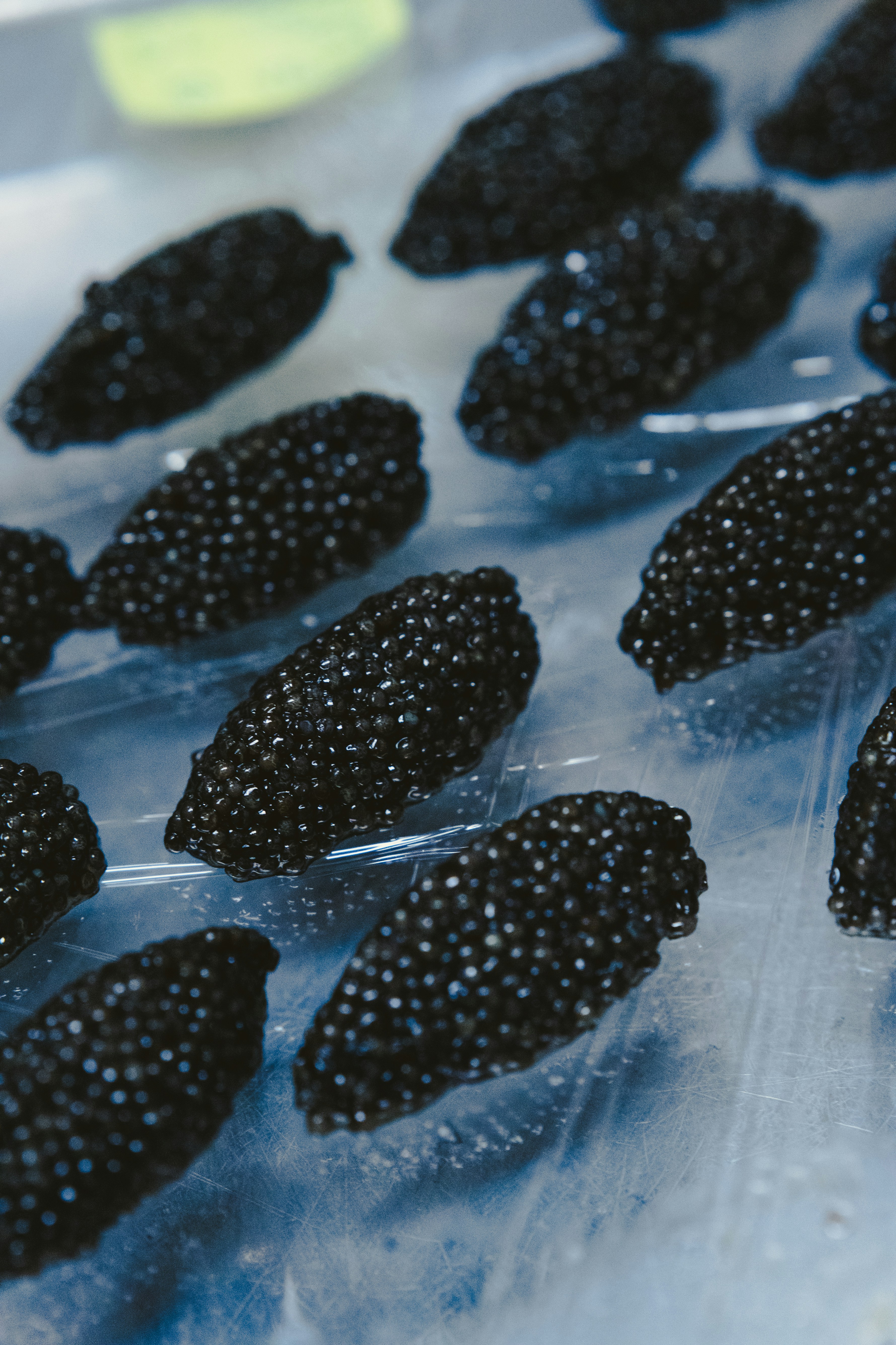 Caviar container on a bed of ice