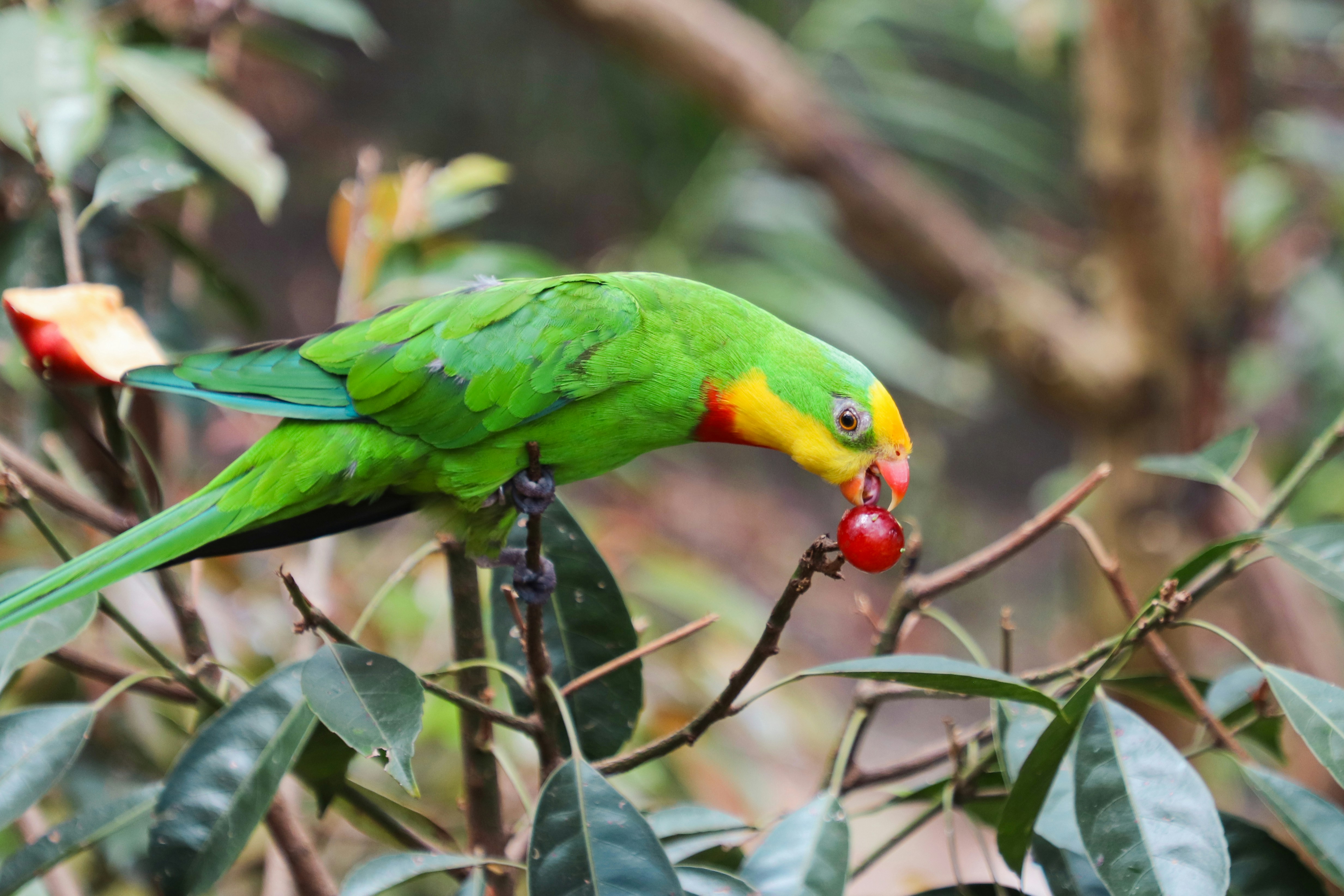 Photo by chrismedina