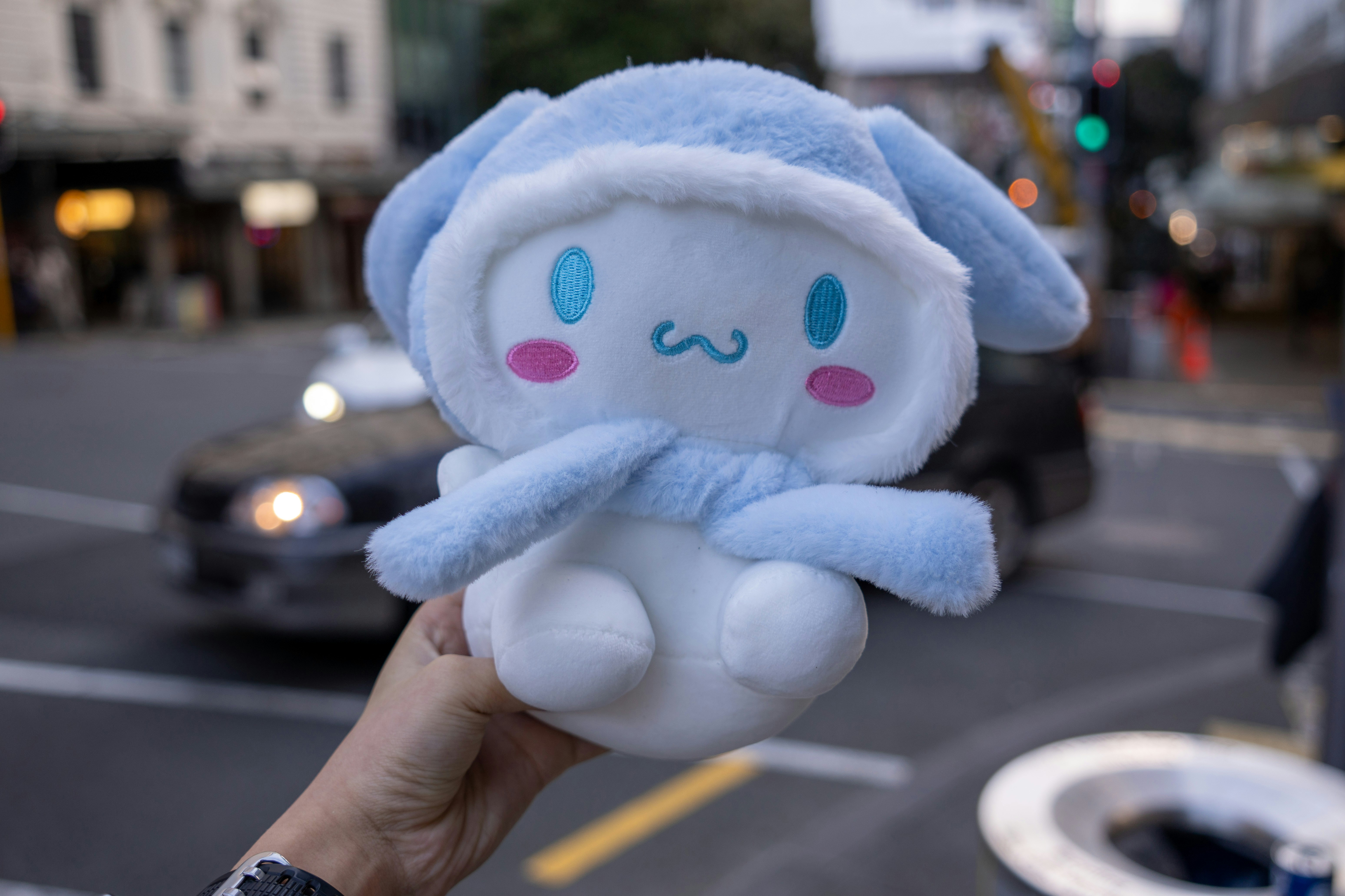 Someone is holding a cinnamoroll plush toy.