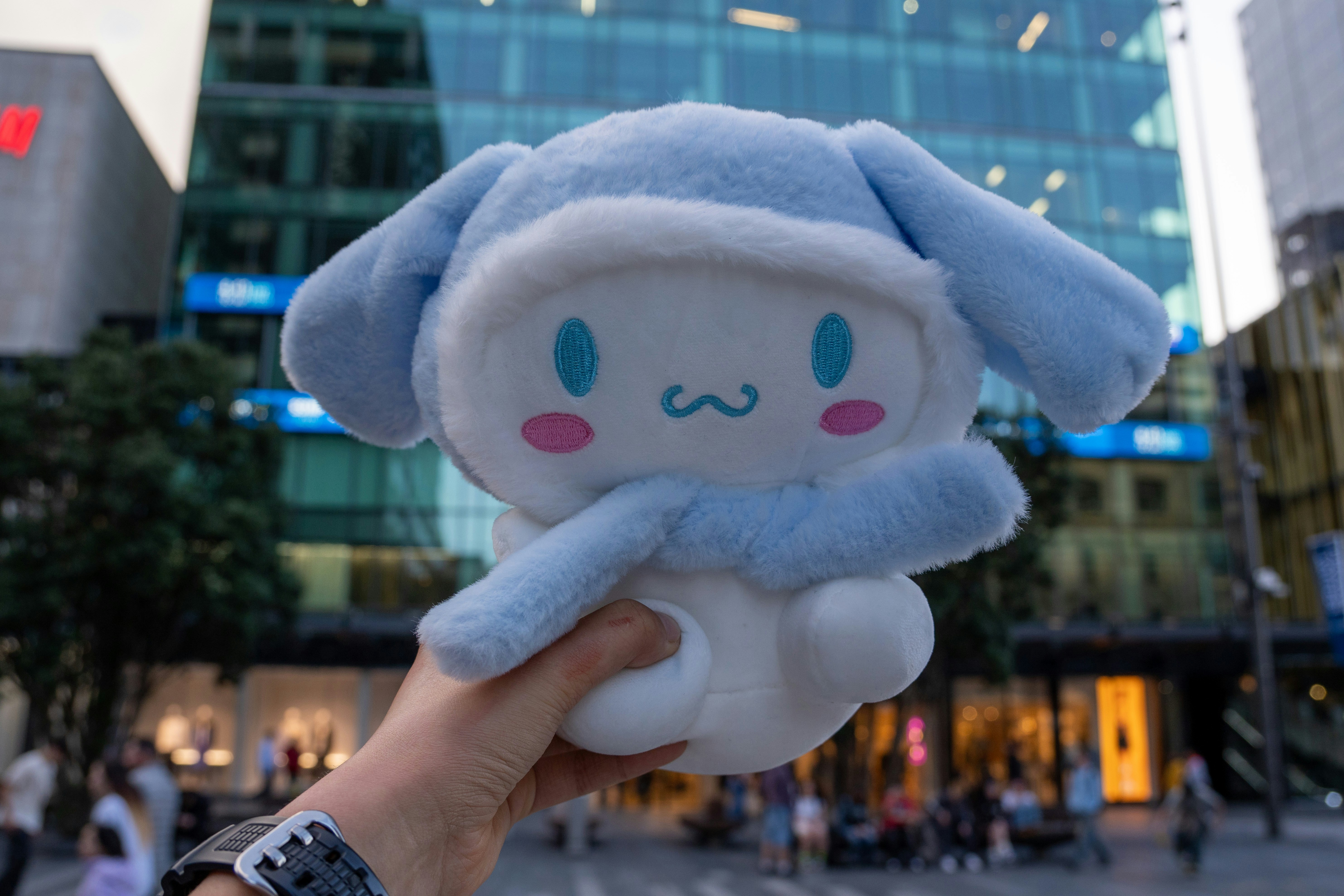 A cinnamoroll plush toy is held outdoors.