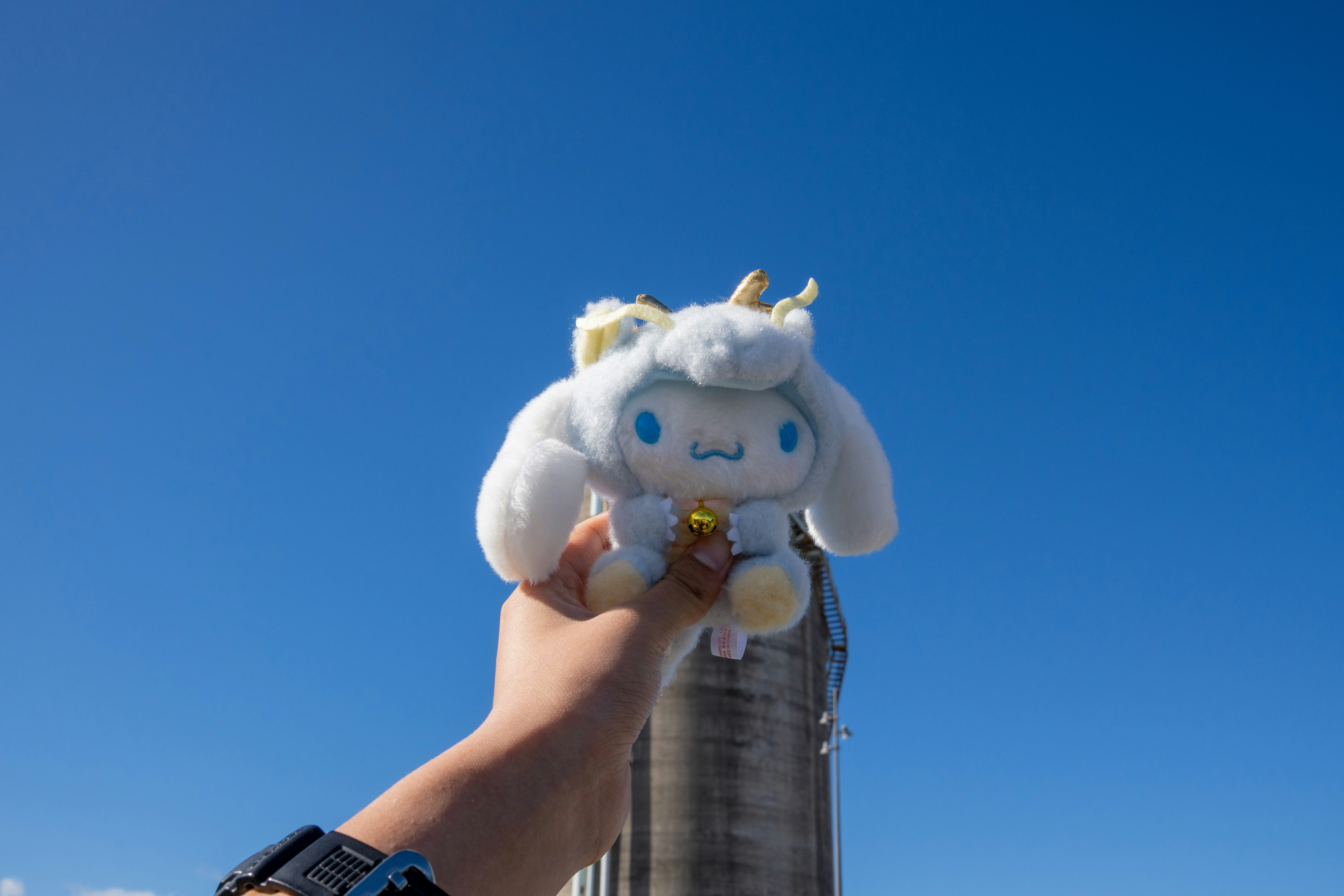 Someone is holding up a cute stuffed animal.