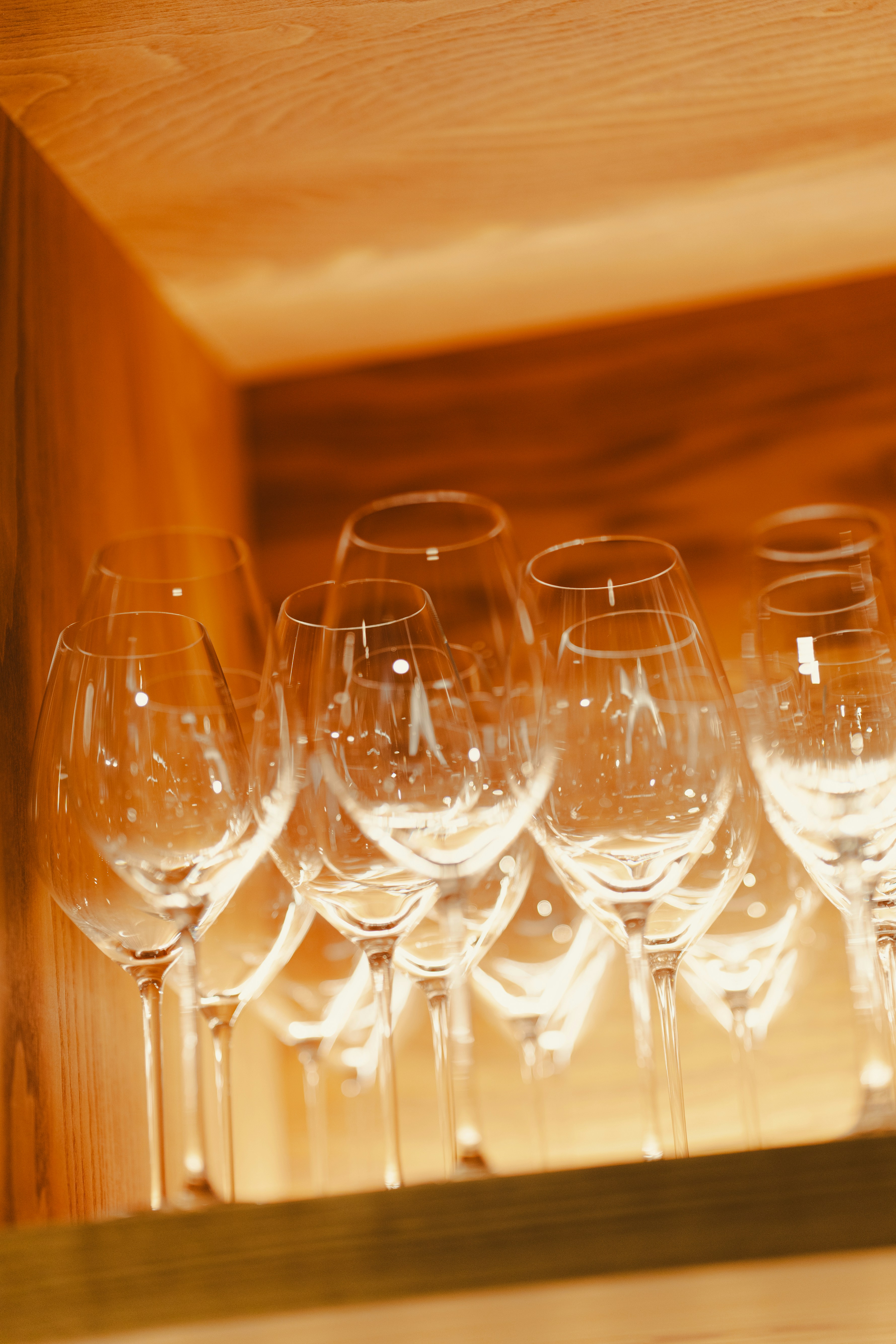 Photo by madeline_sd