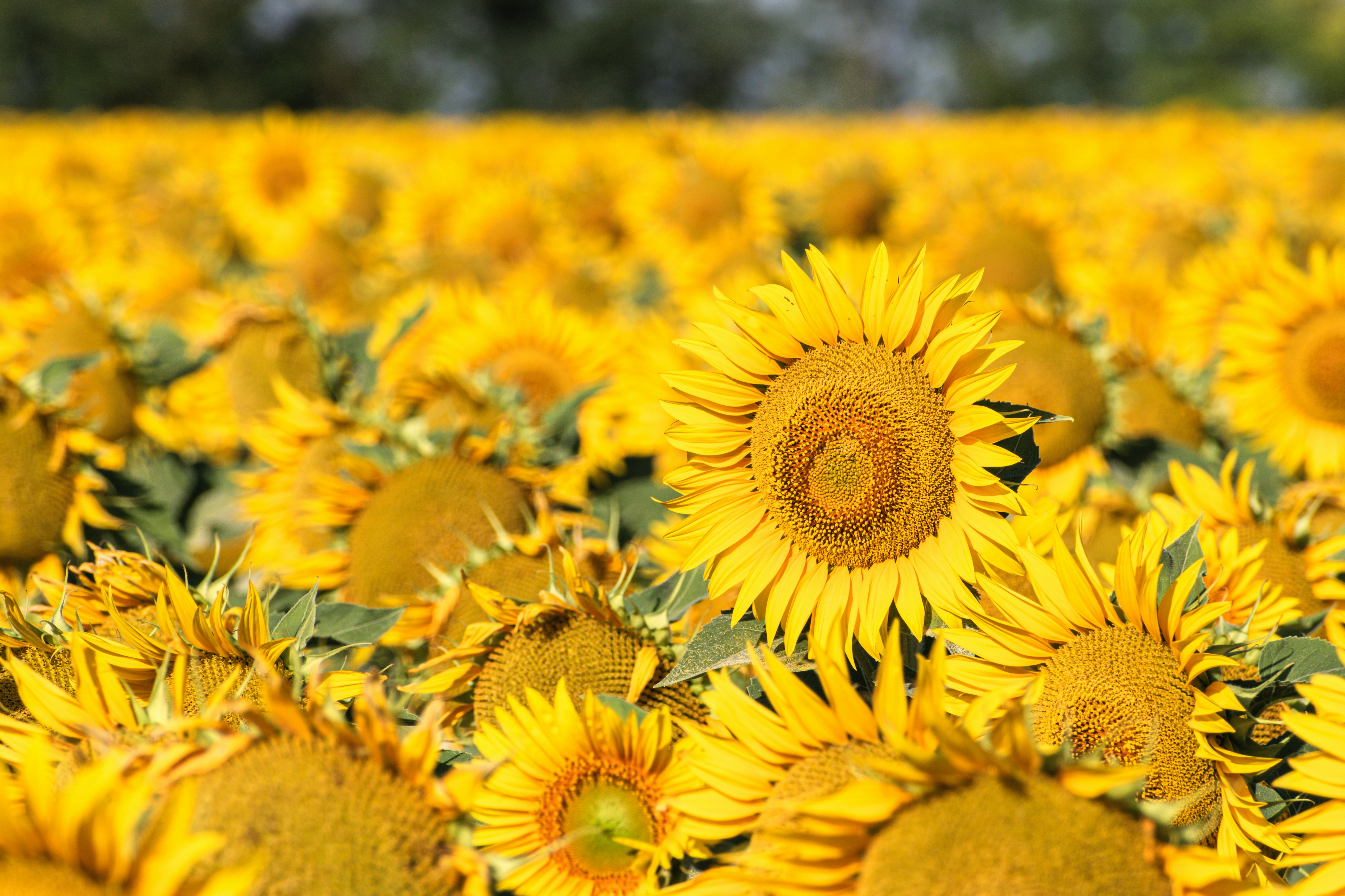 Photo by niki_emmert