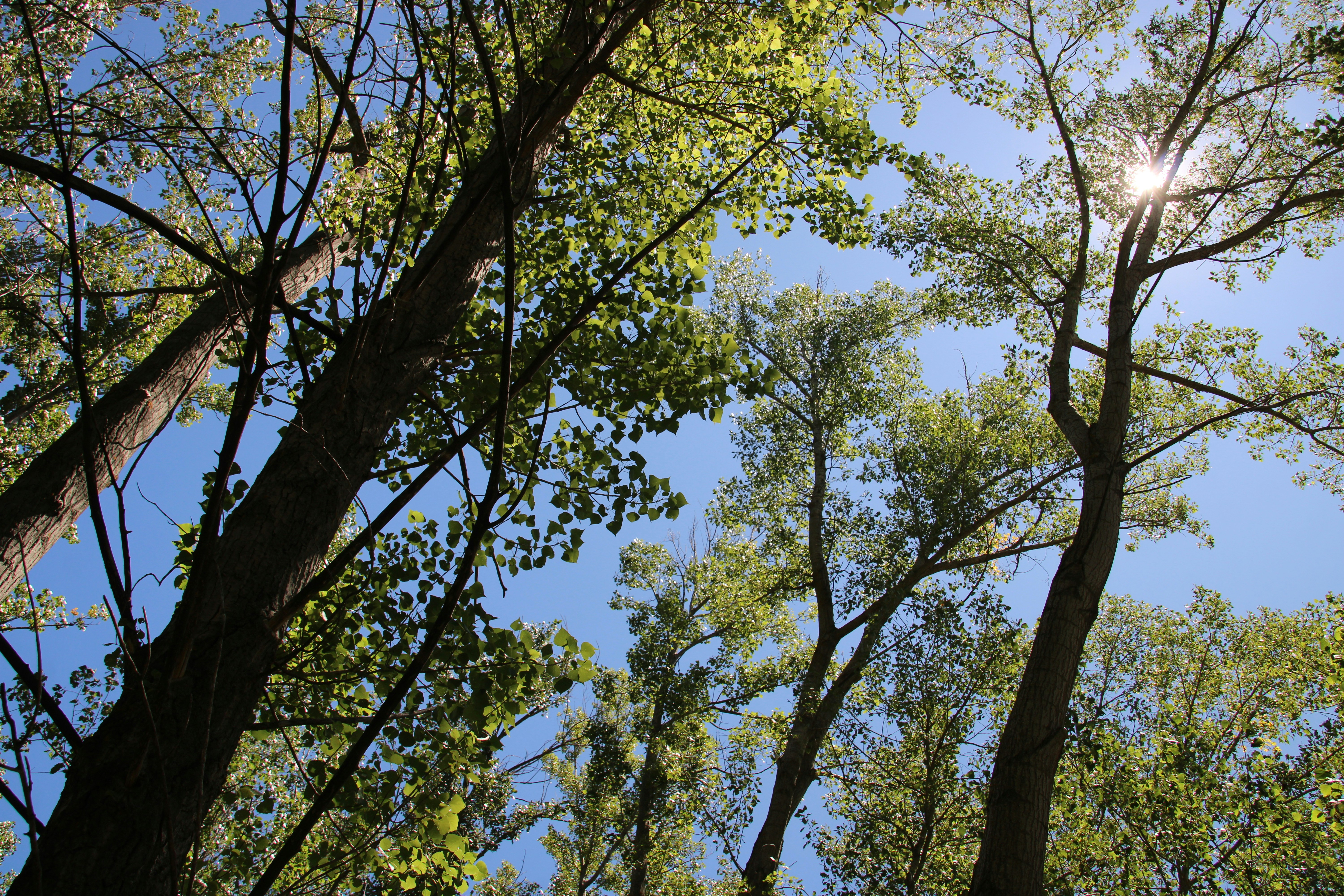 Photo by ludovico_06