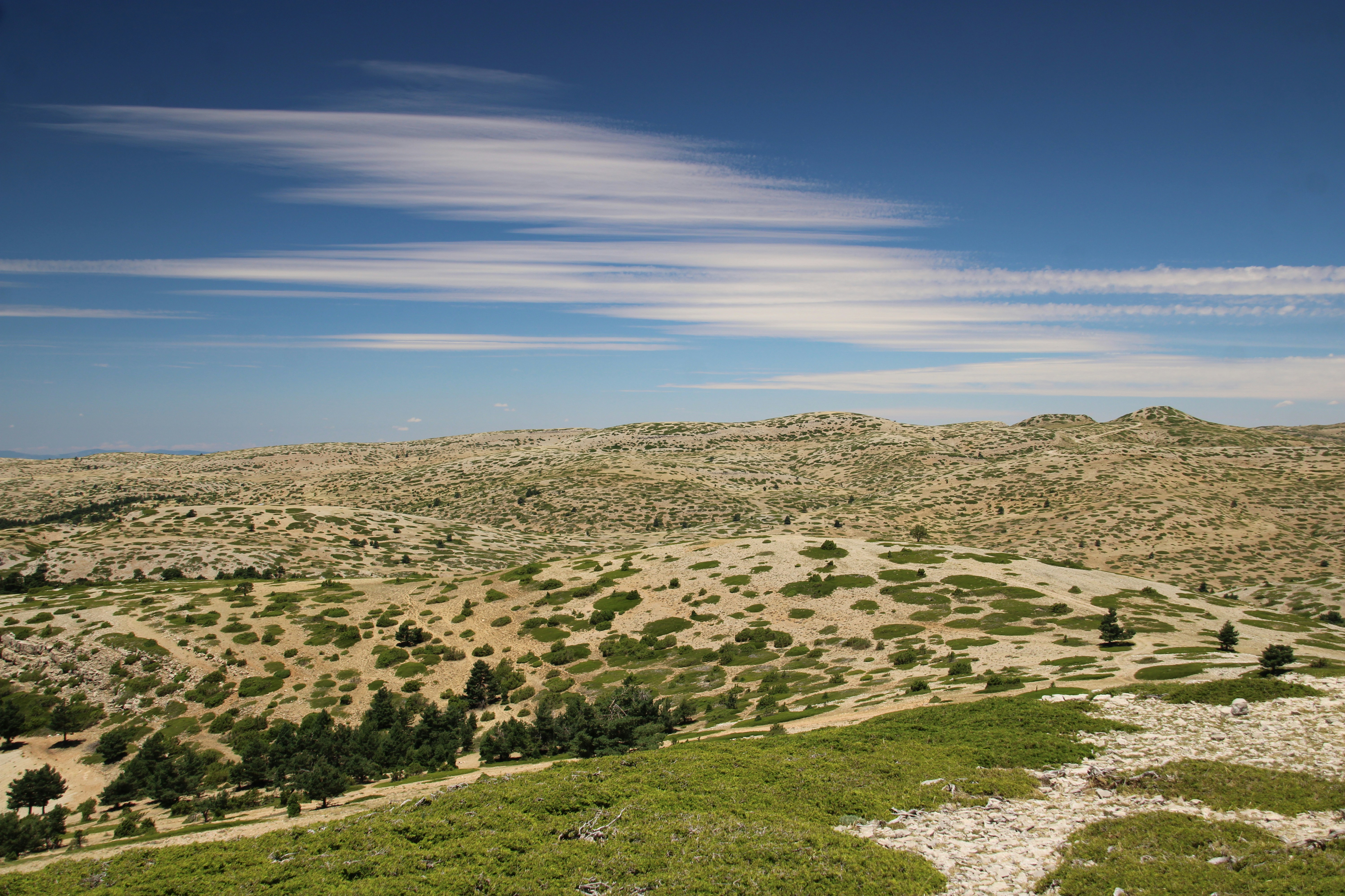 Photo by ludovico_06