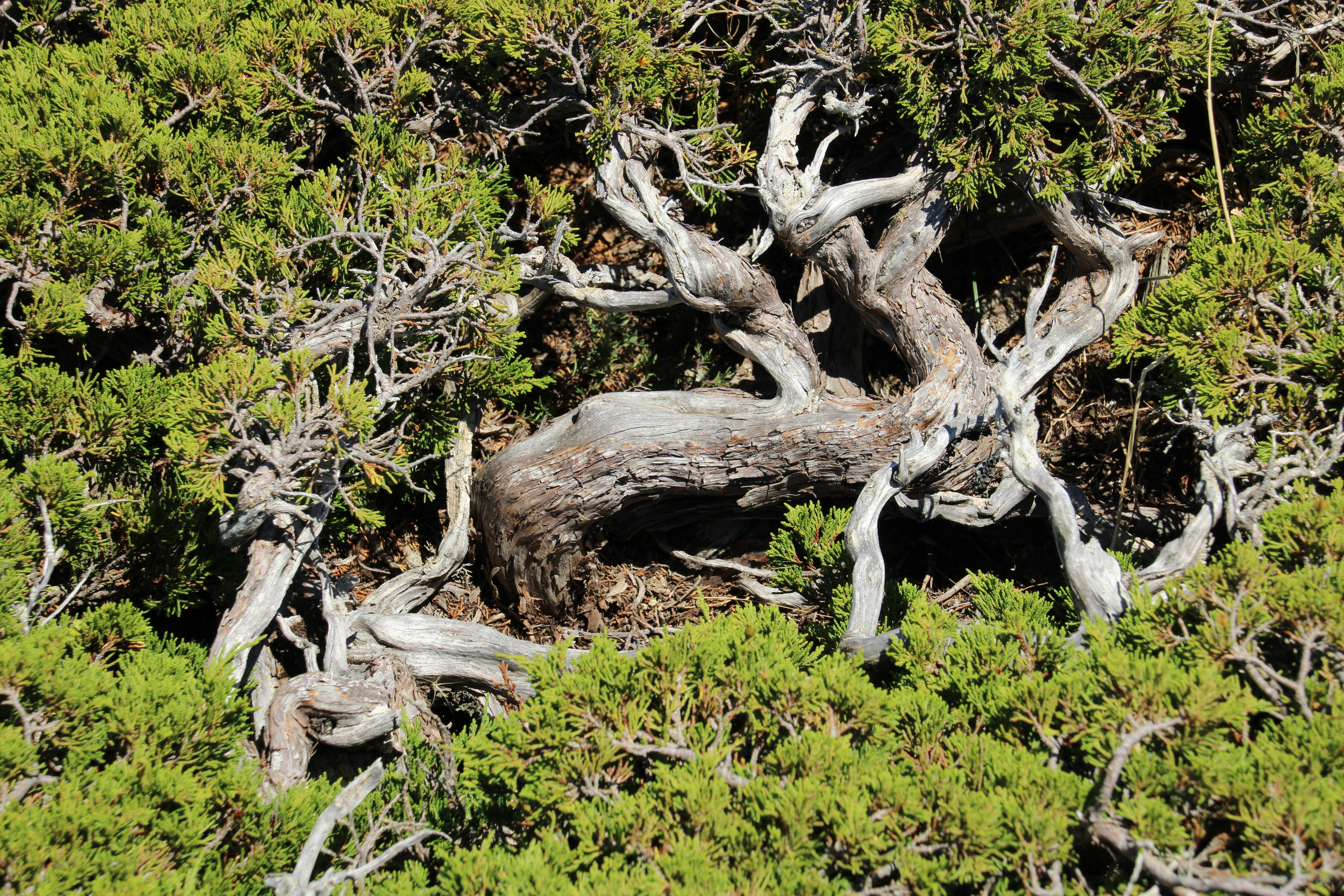 Photo by ludovico_06