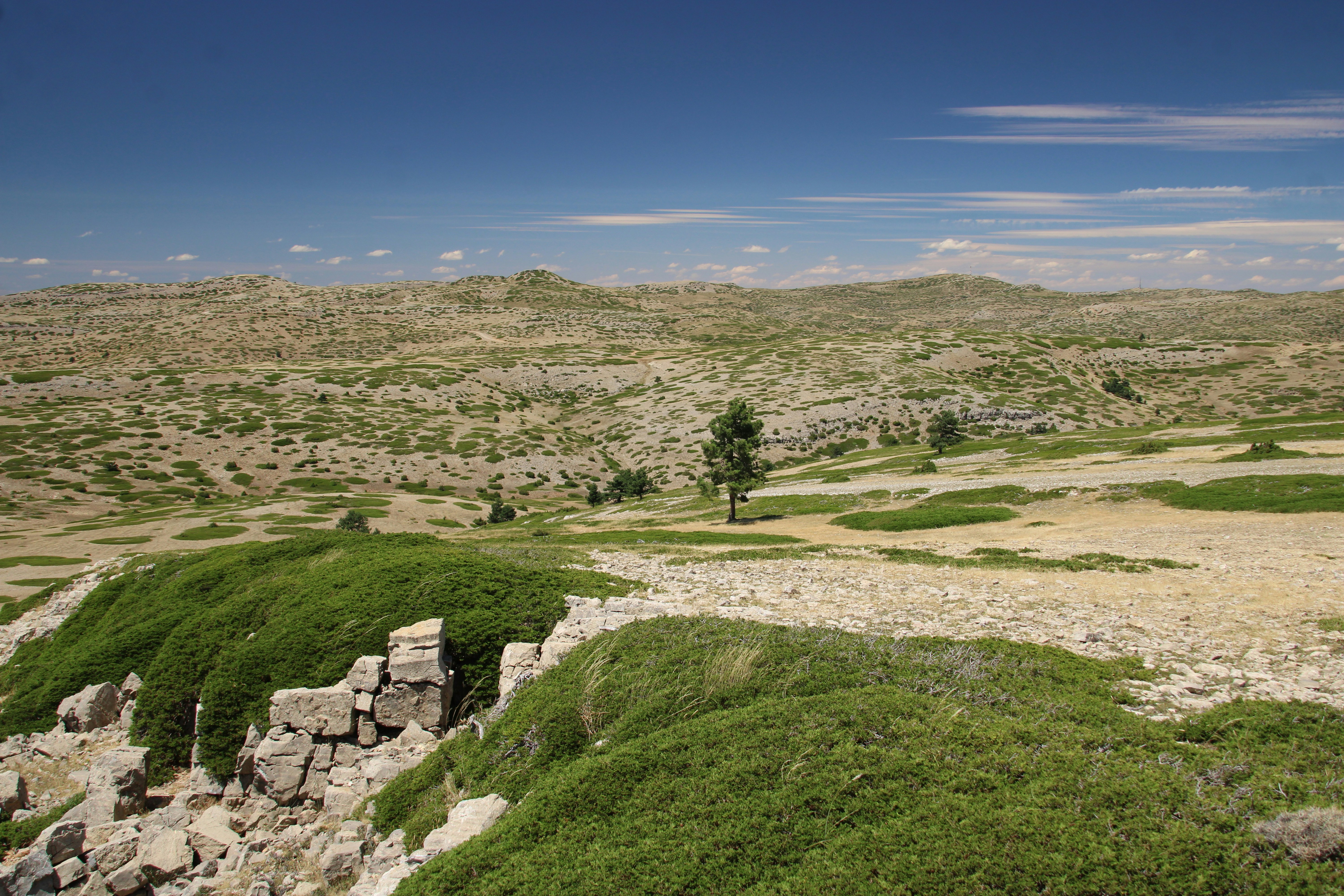 Photo by ludovico_06