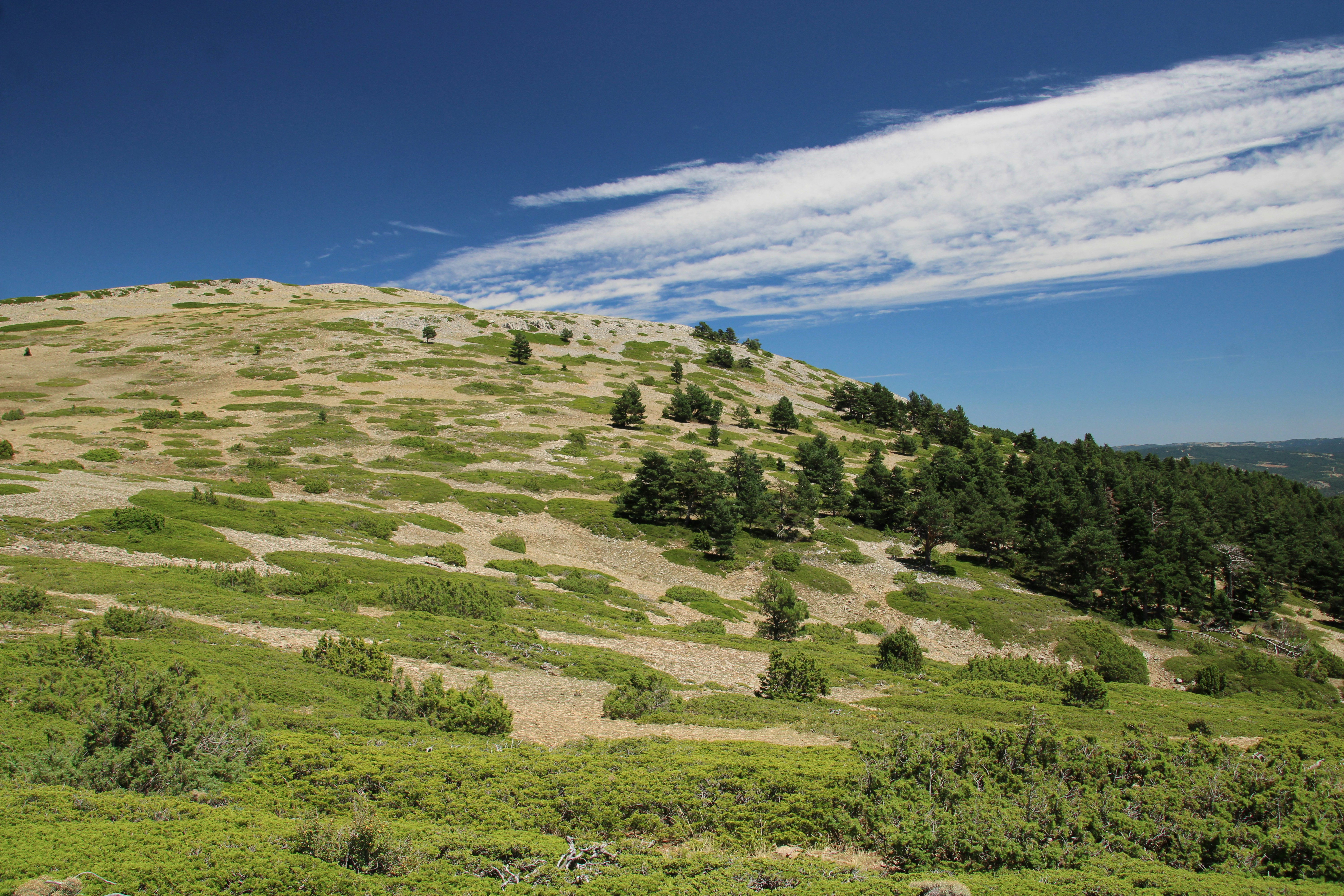 Photo by ludovico_06