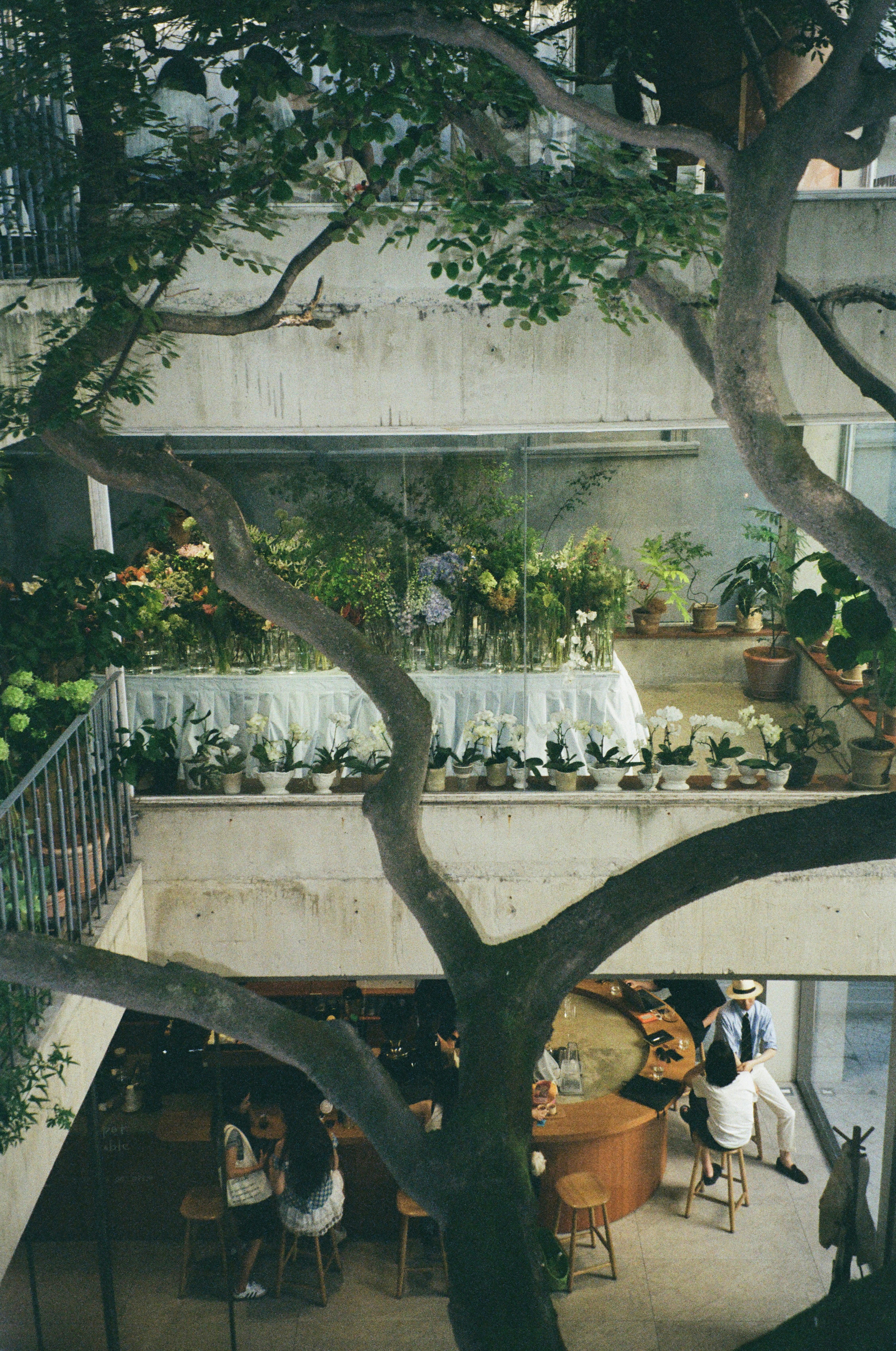 Photo by itsemmmmma