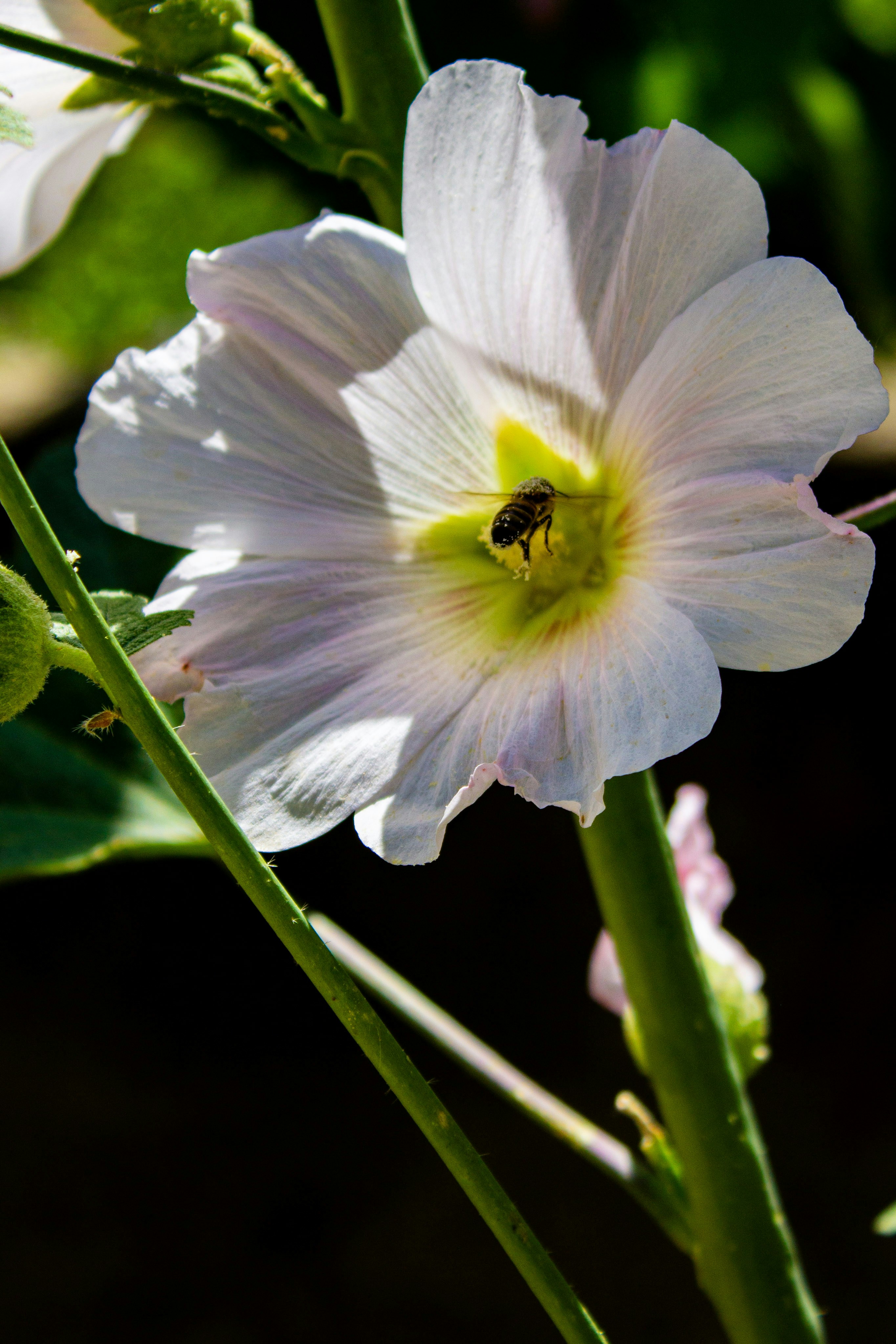 Photo by kadirsahinby