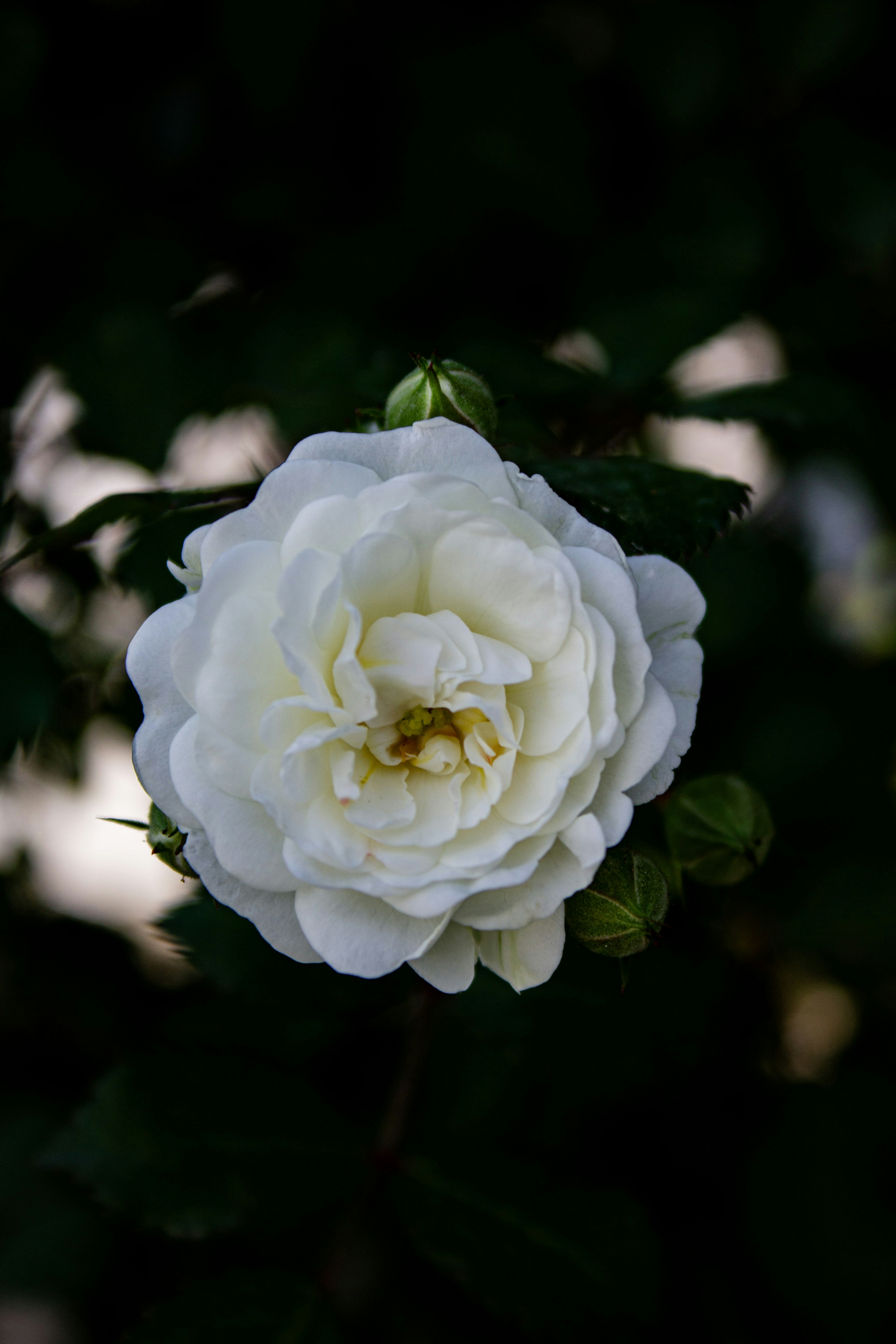 Photo by kadirsahinby