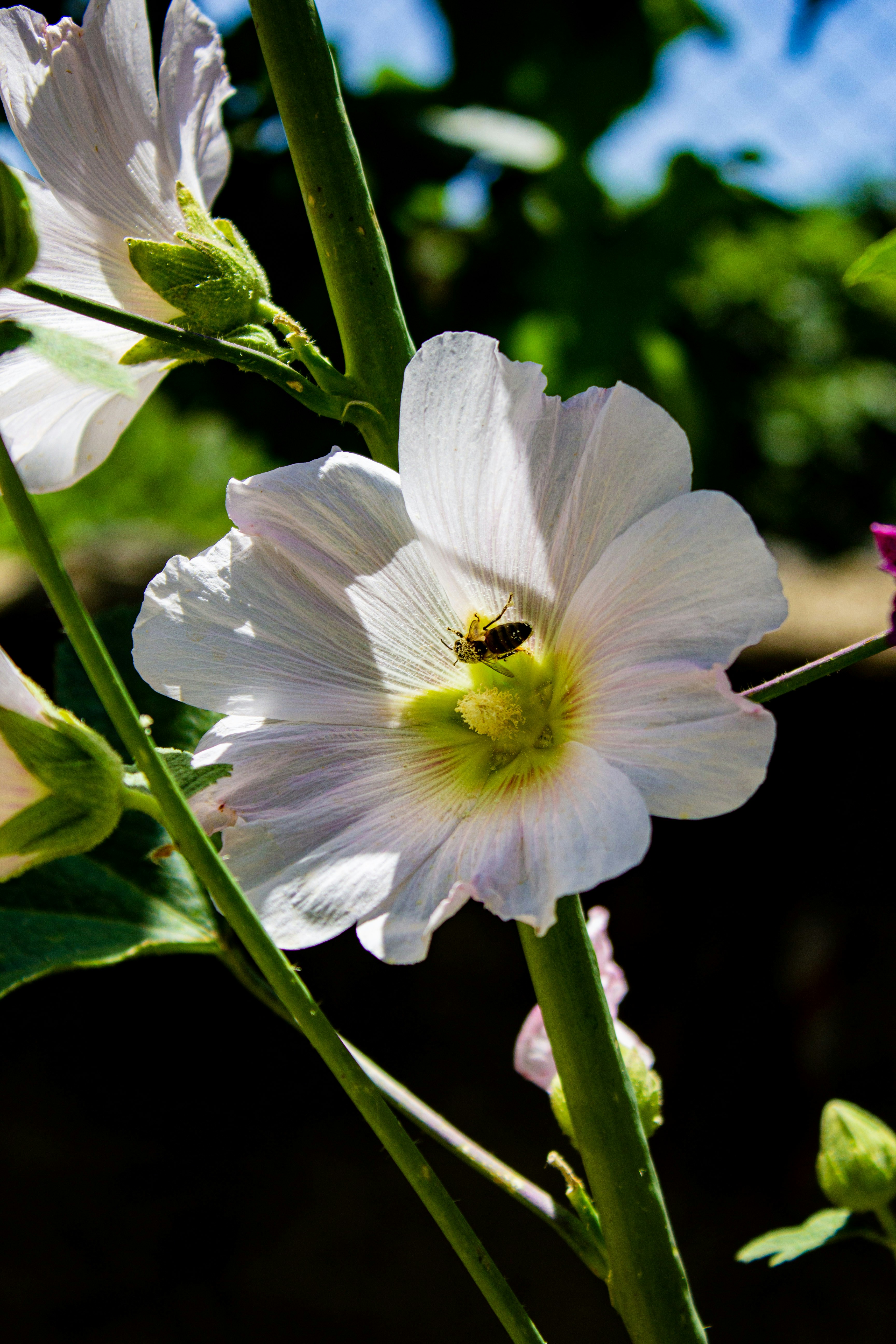 Photo by kadirsahinby