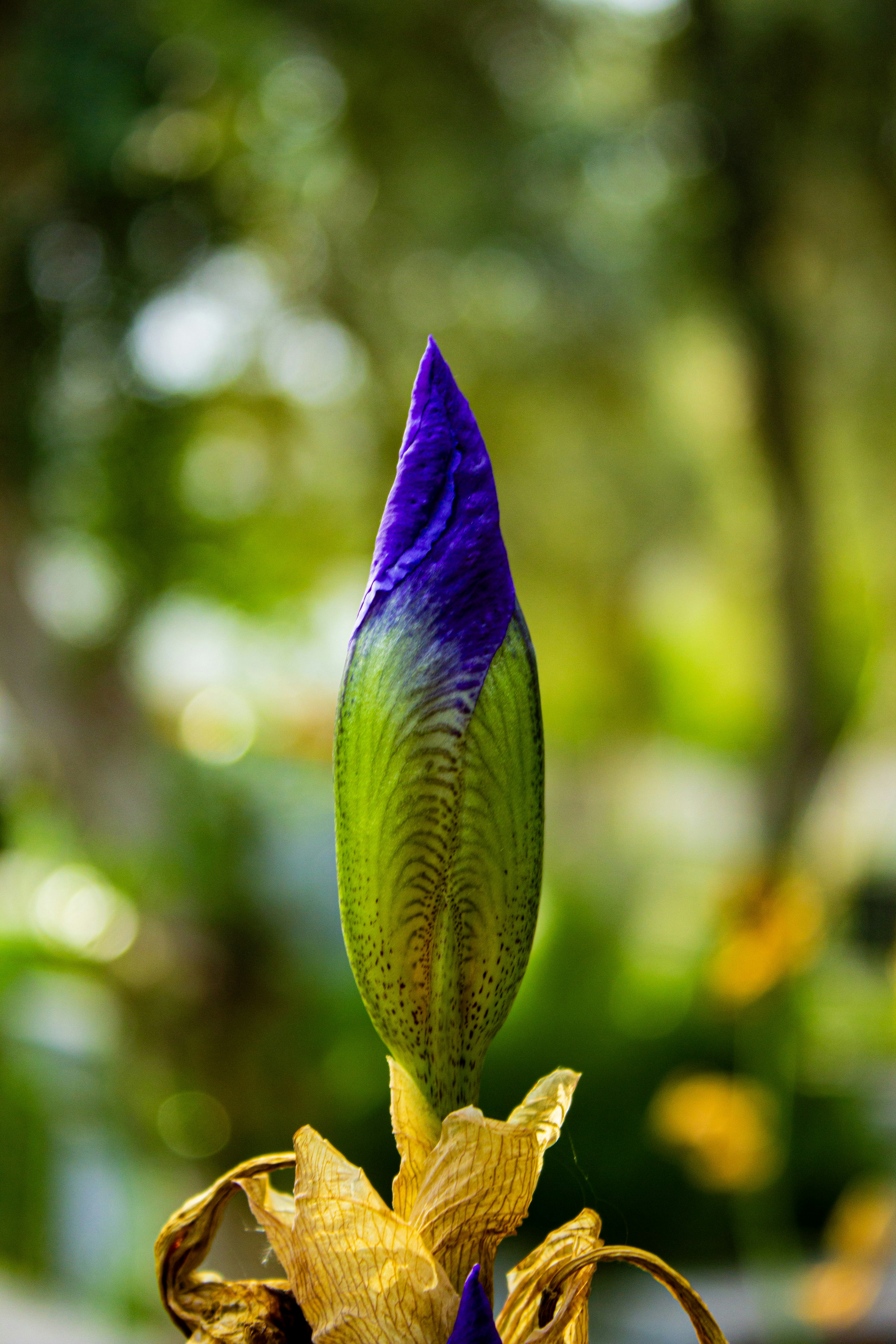 Photo by kadirsahinby