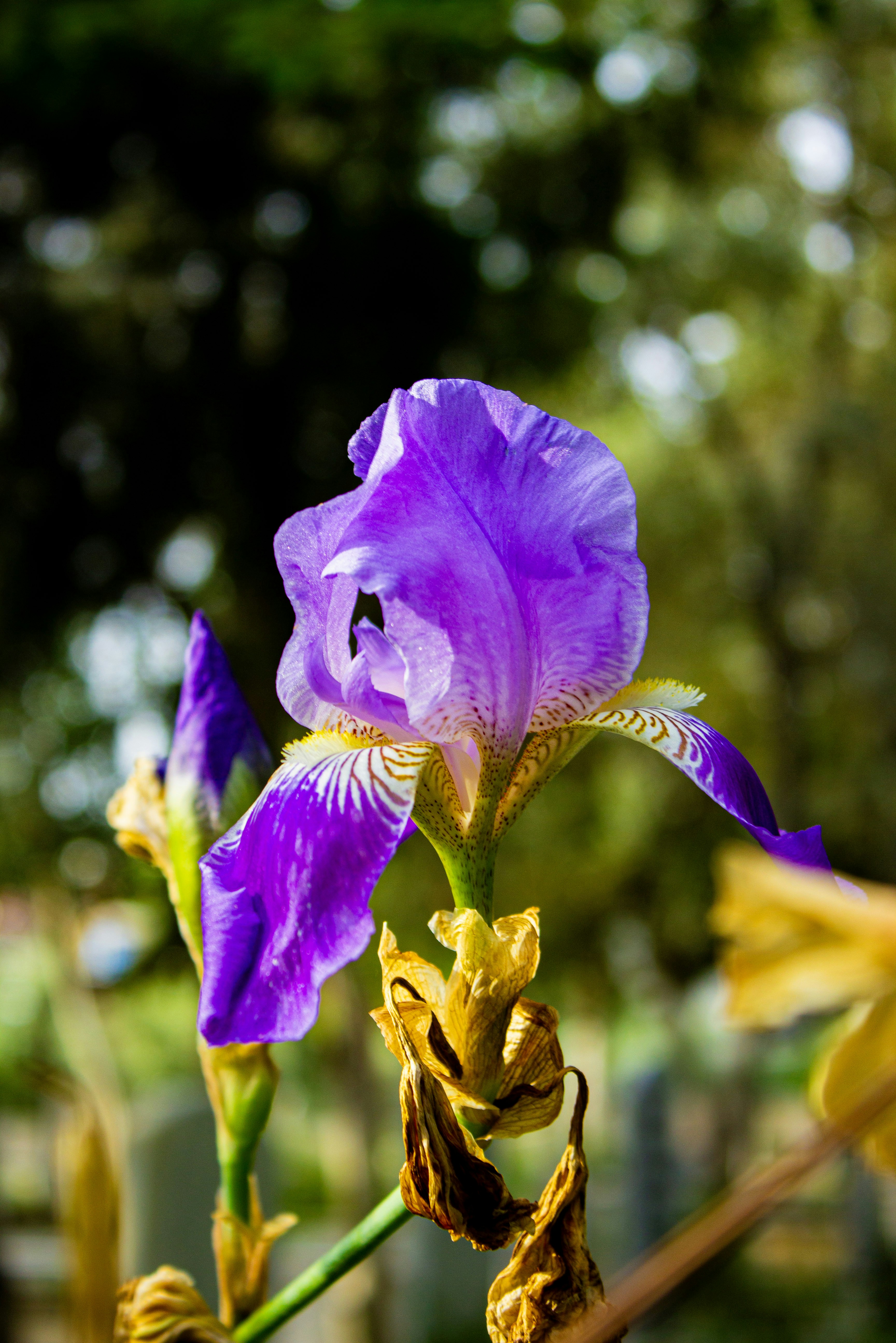 Photo by kadirsahinby