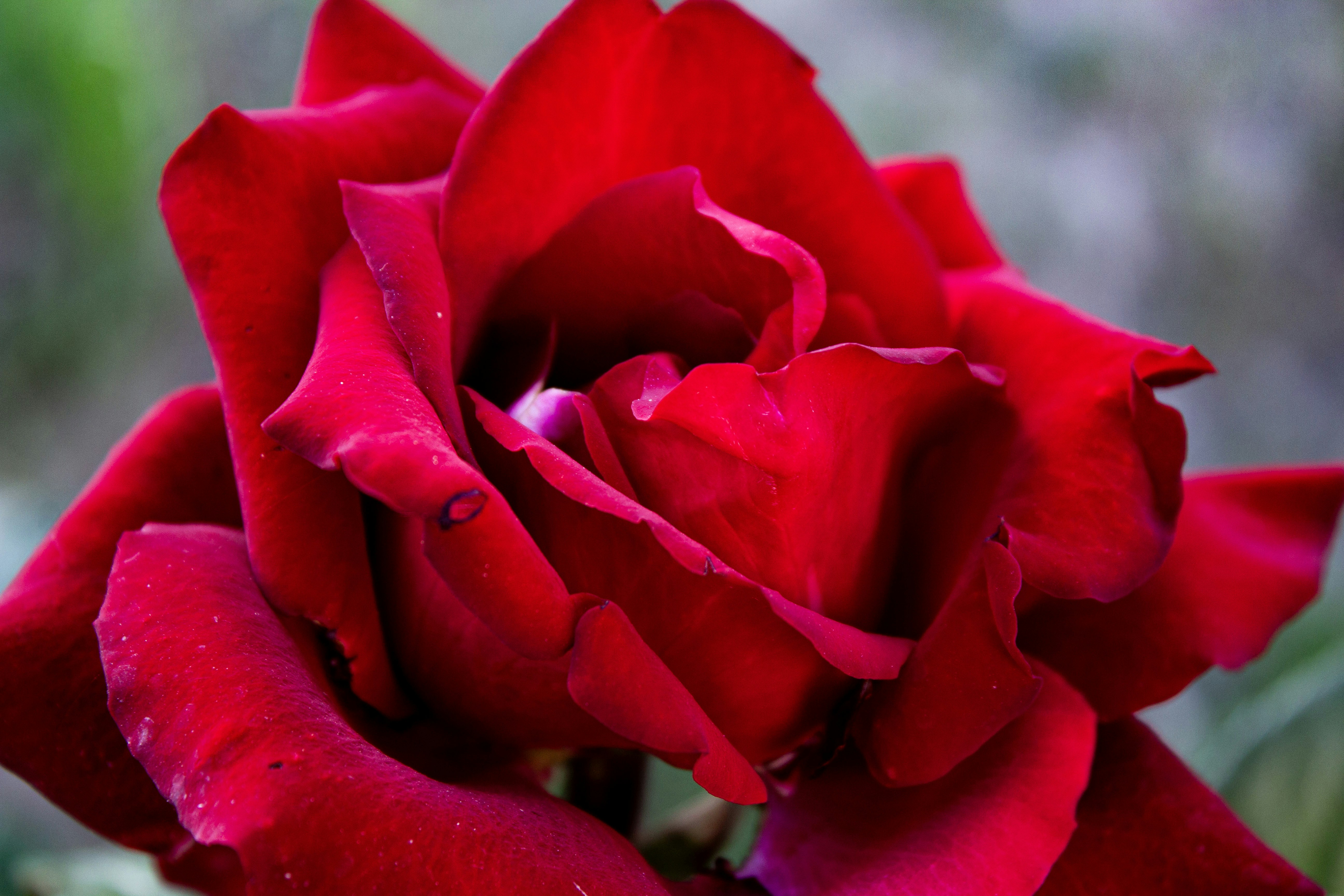 Photo by kadirsahinby