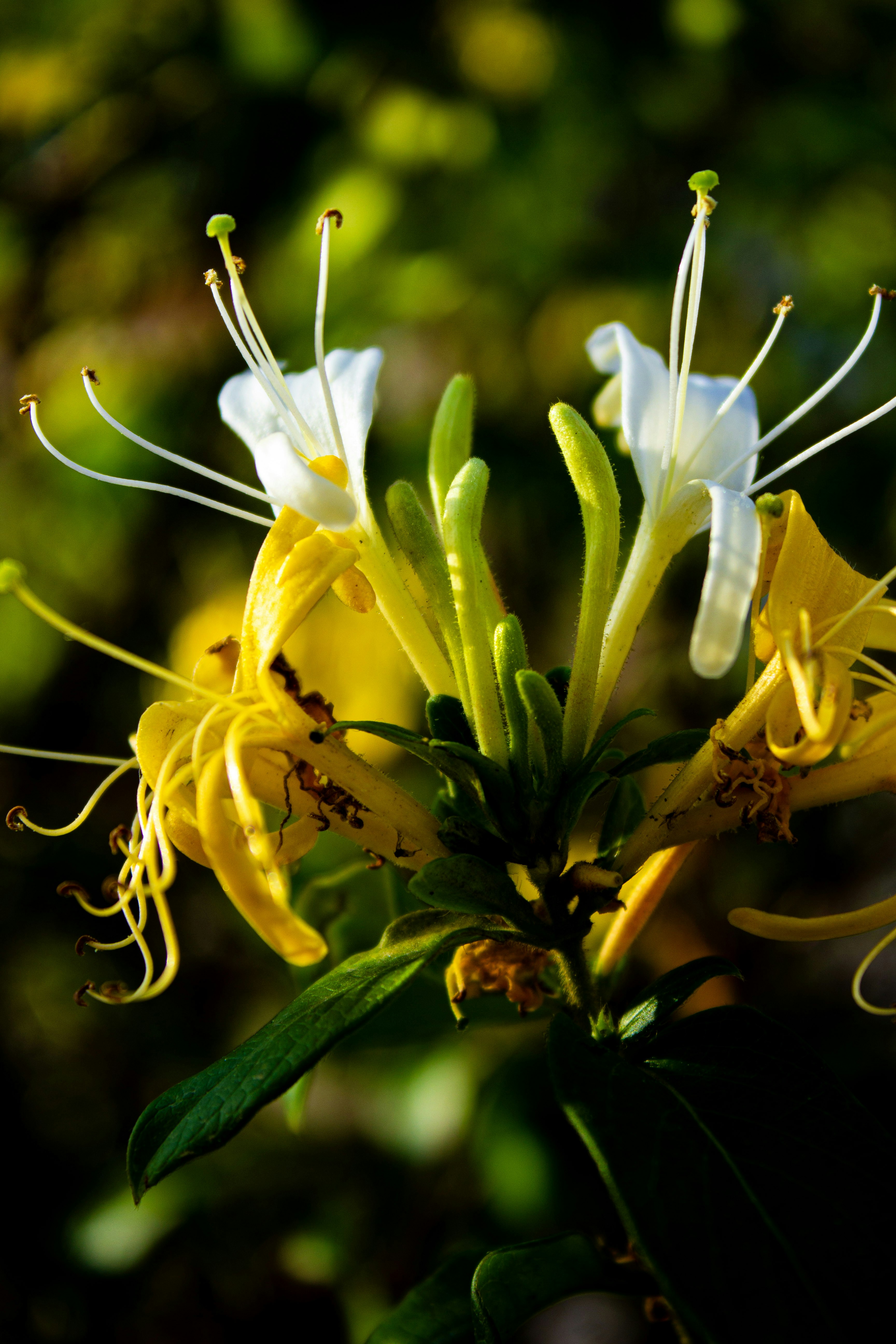 Photo by kadirsahinby