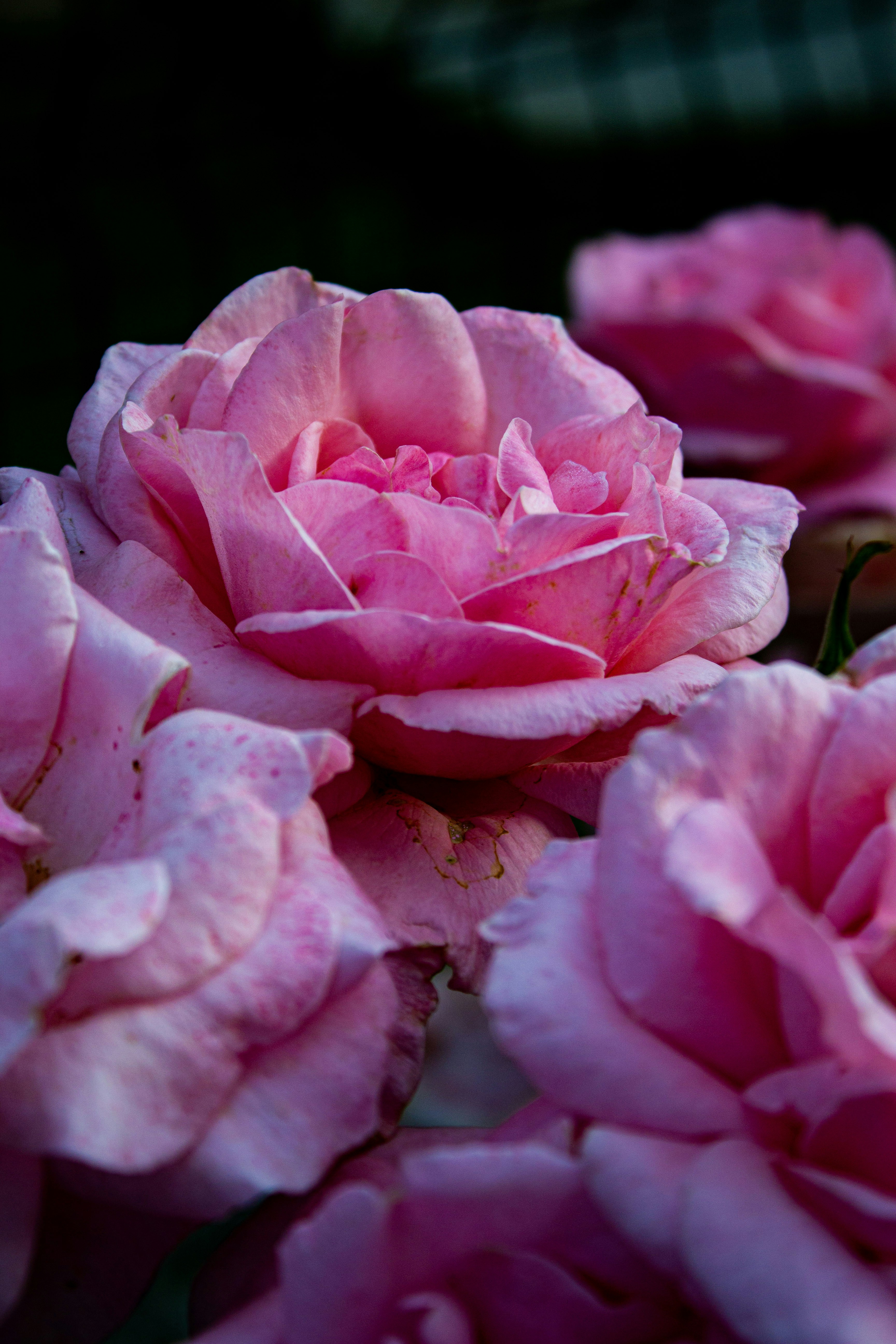 Photo by kadirsahinby