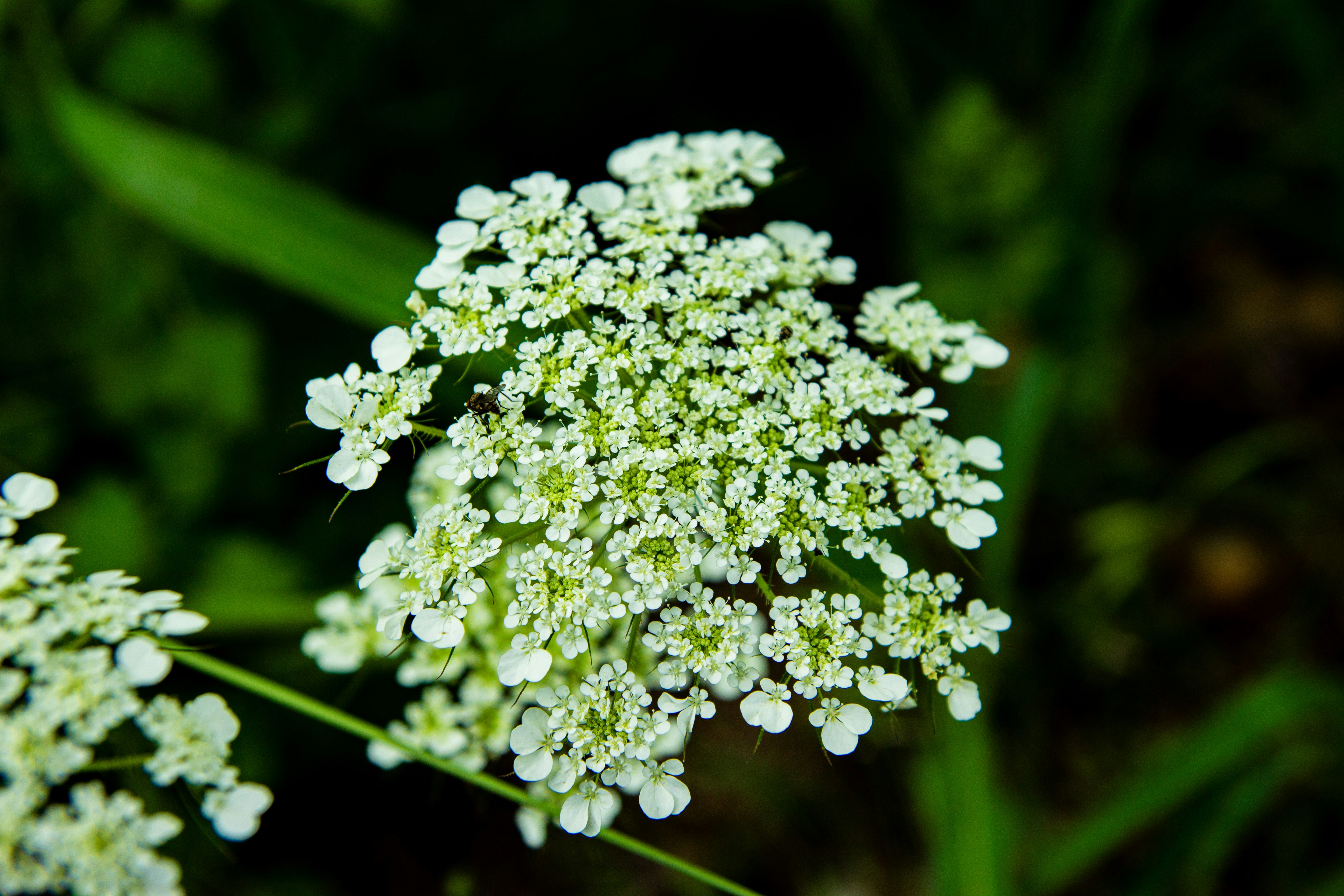 Photo by kadirsahinby