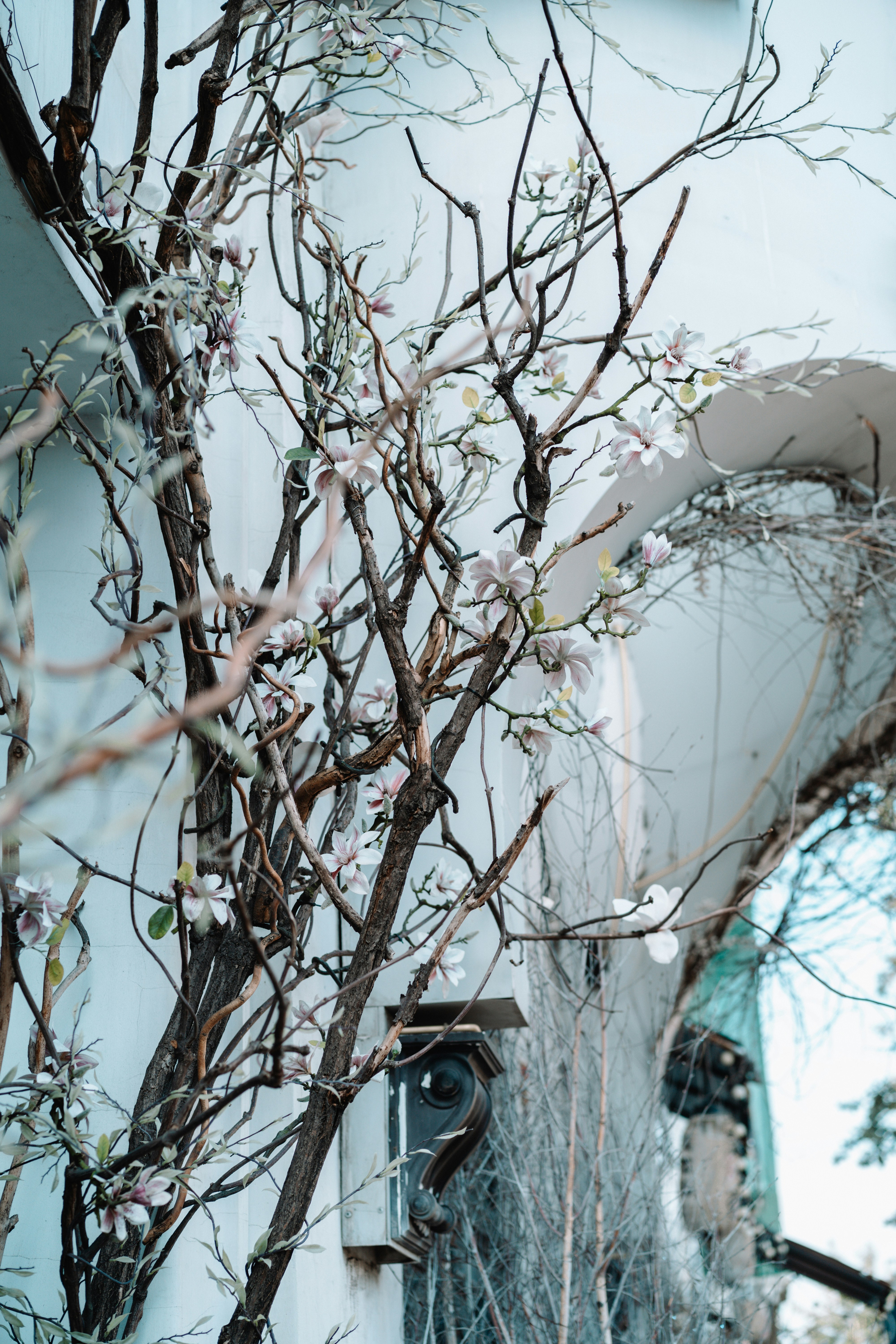 Photo by anamnesis33