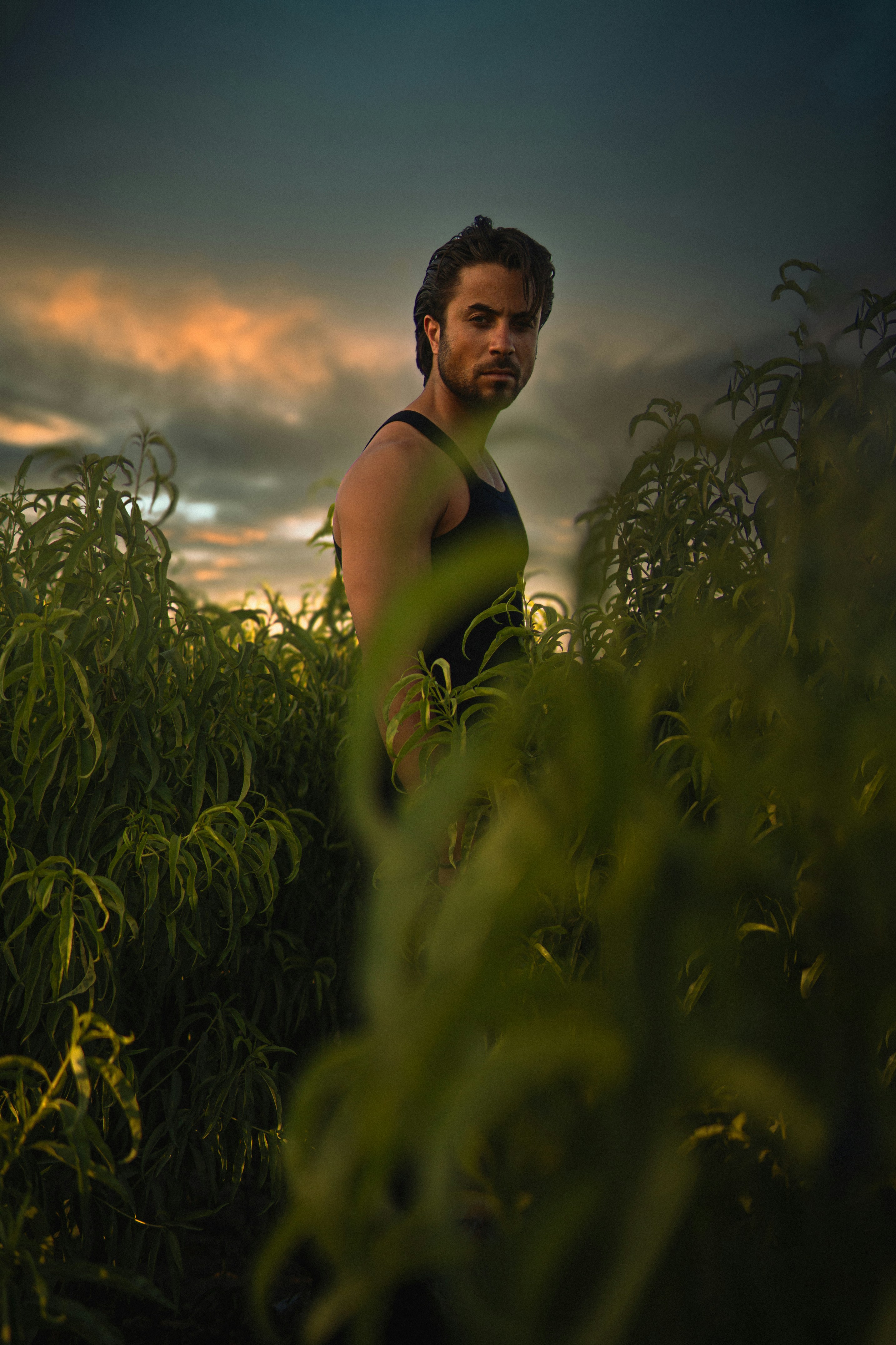 A man poses in tall green foliage.