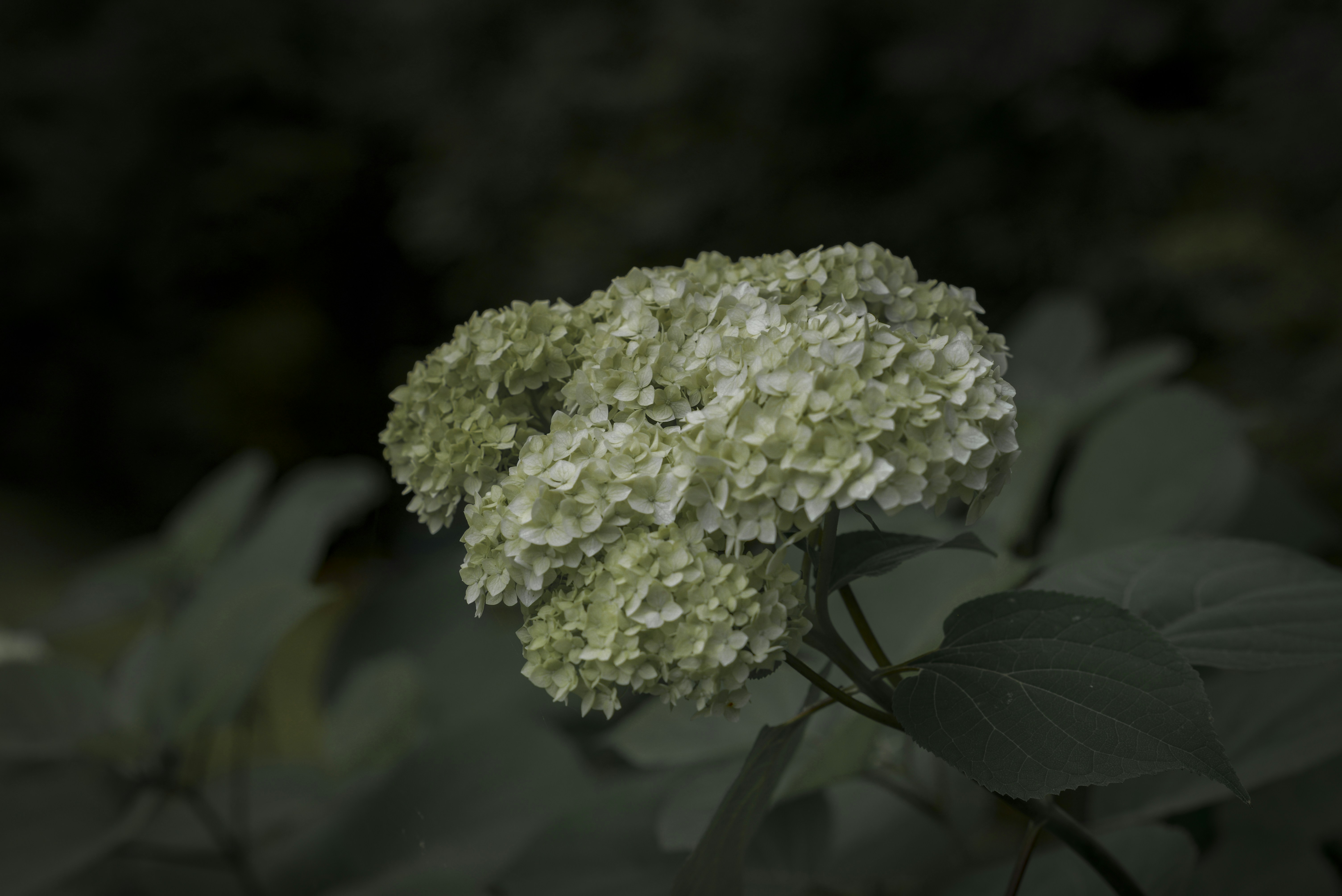 Photo by malwinanogaj