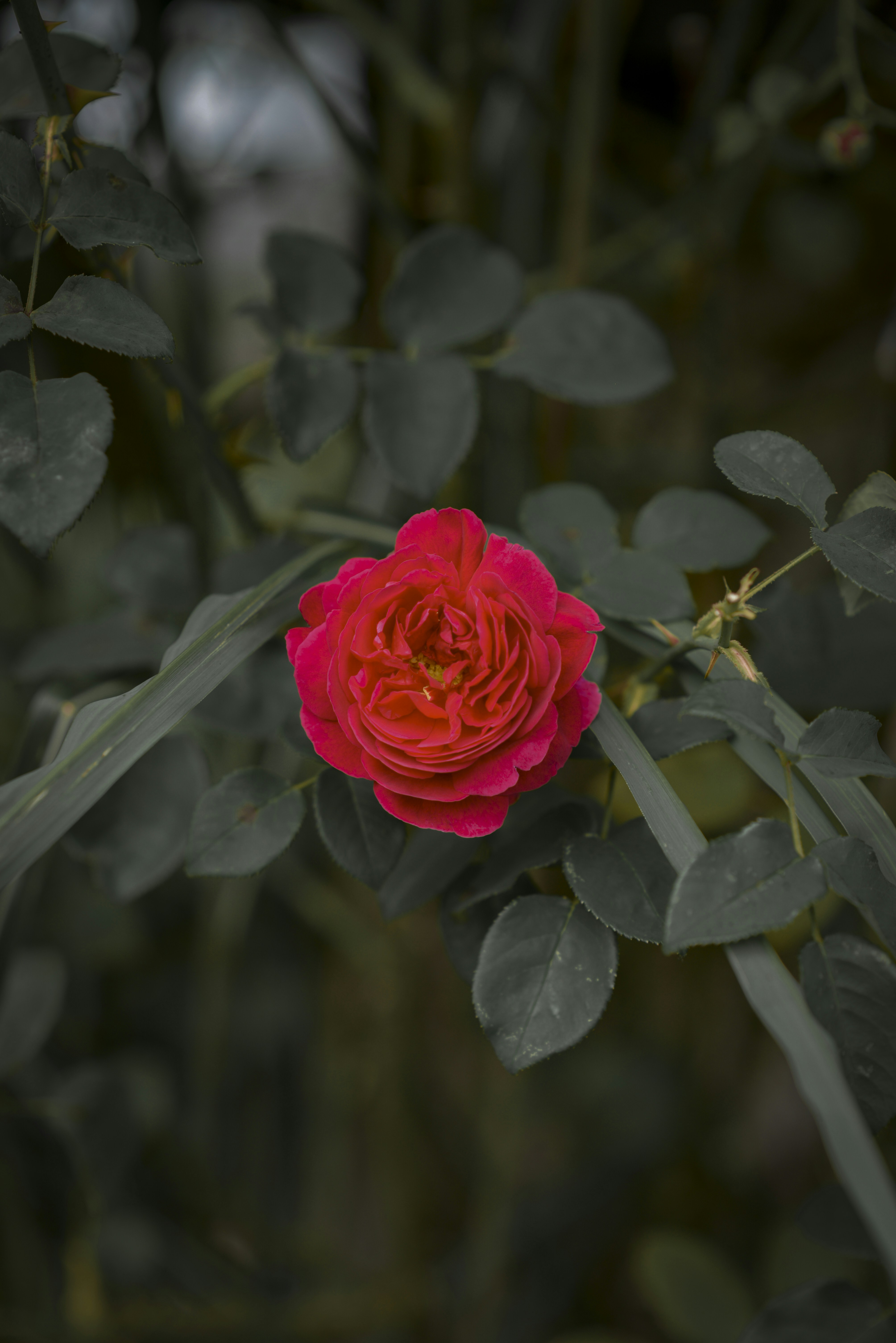 Photo by malwinanogaj