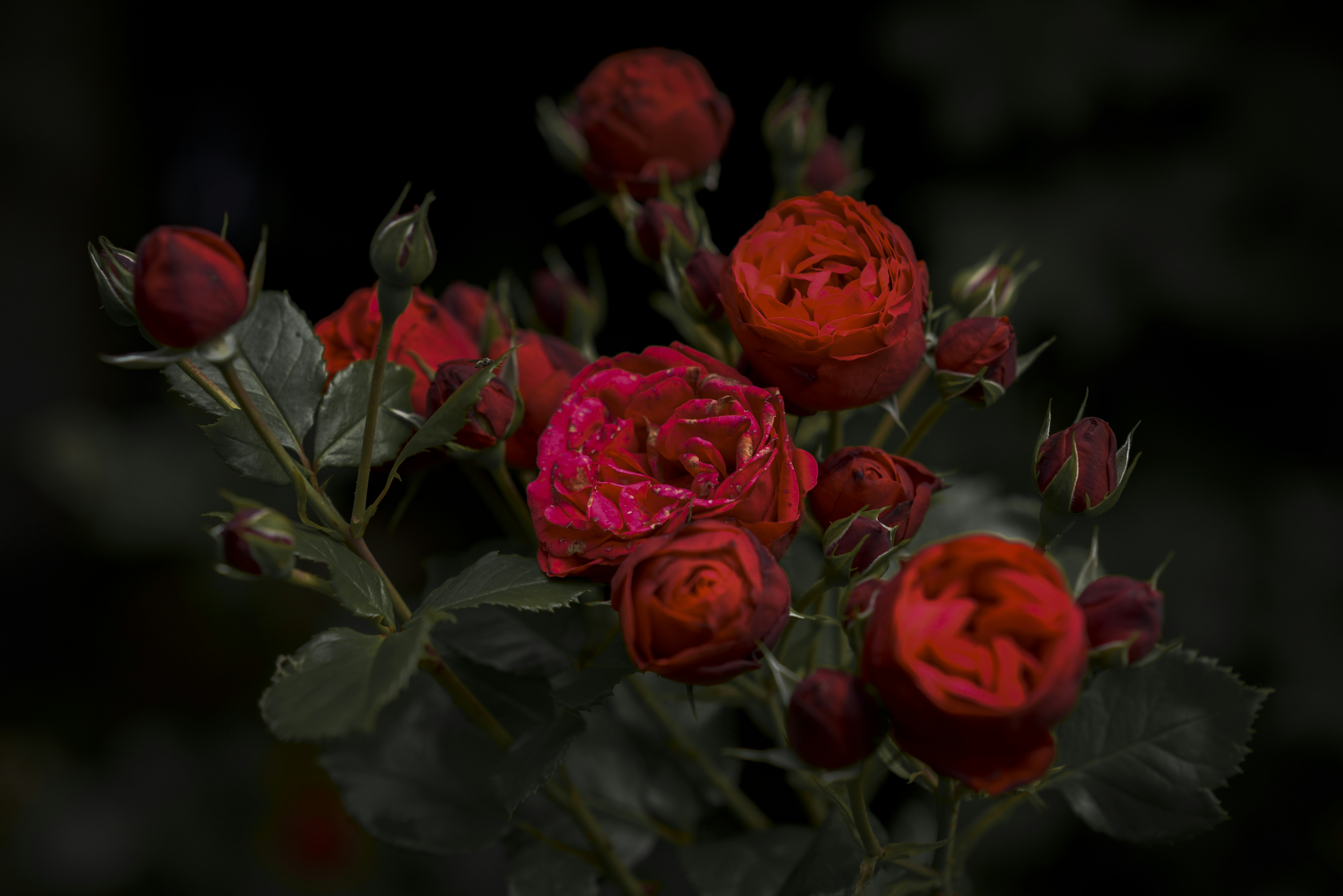 Photo by malwinanogaj