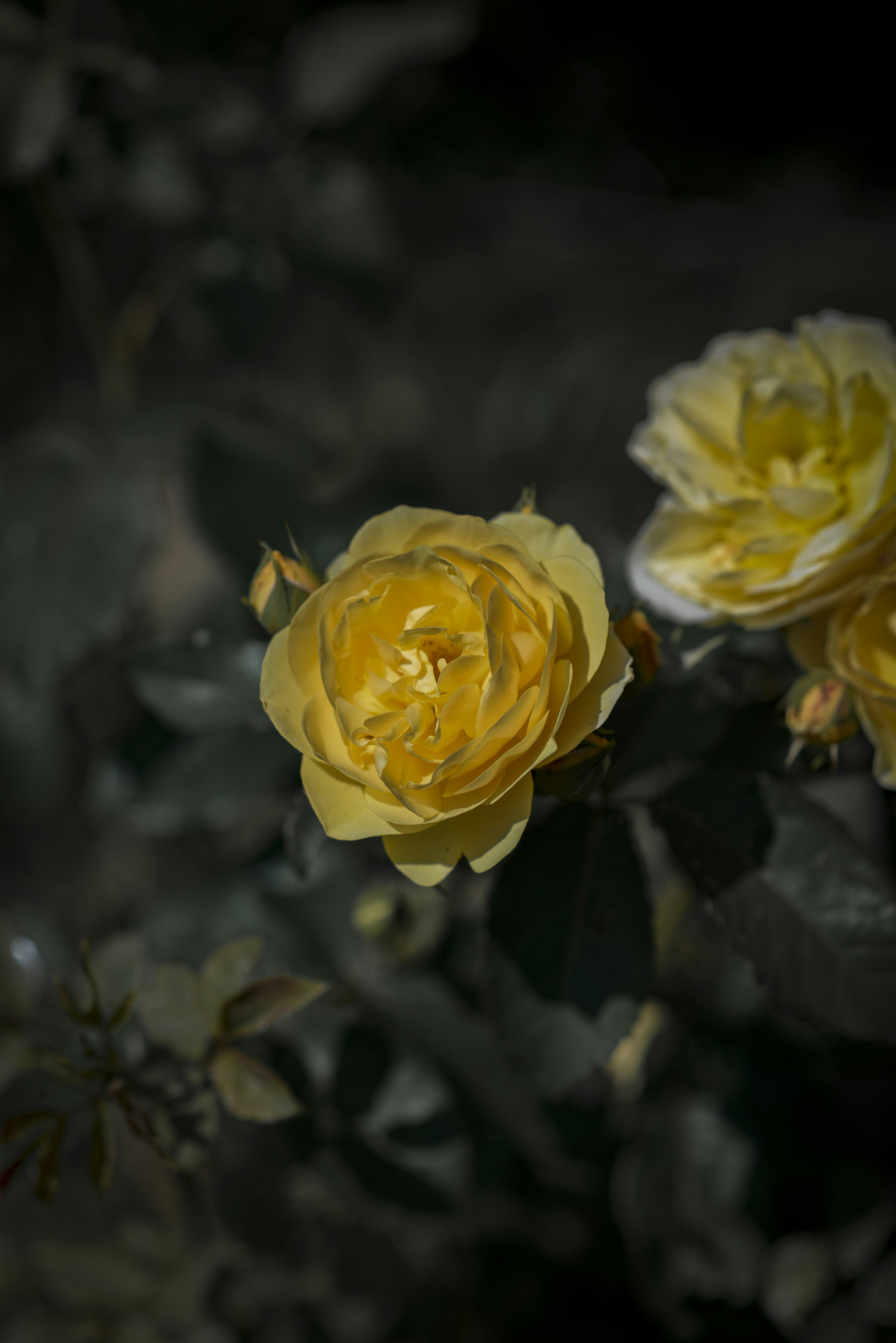 Photo by malwinanogaj