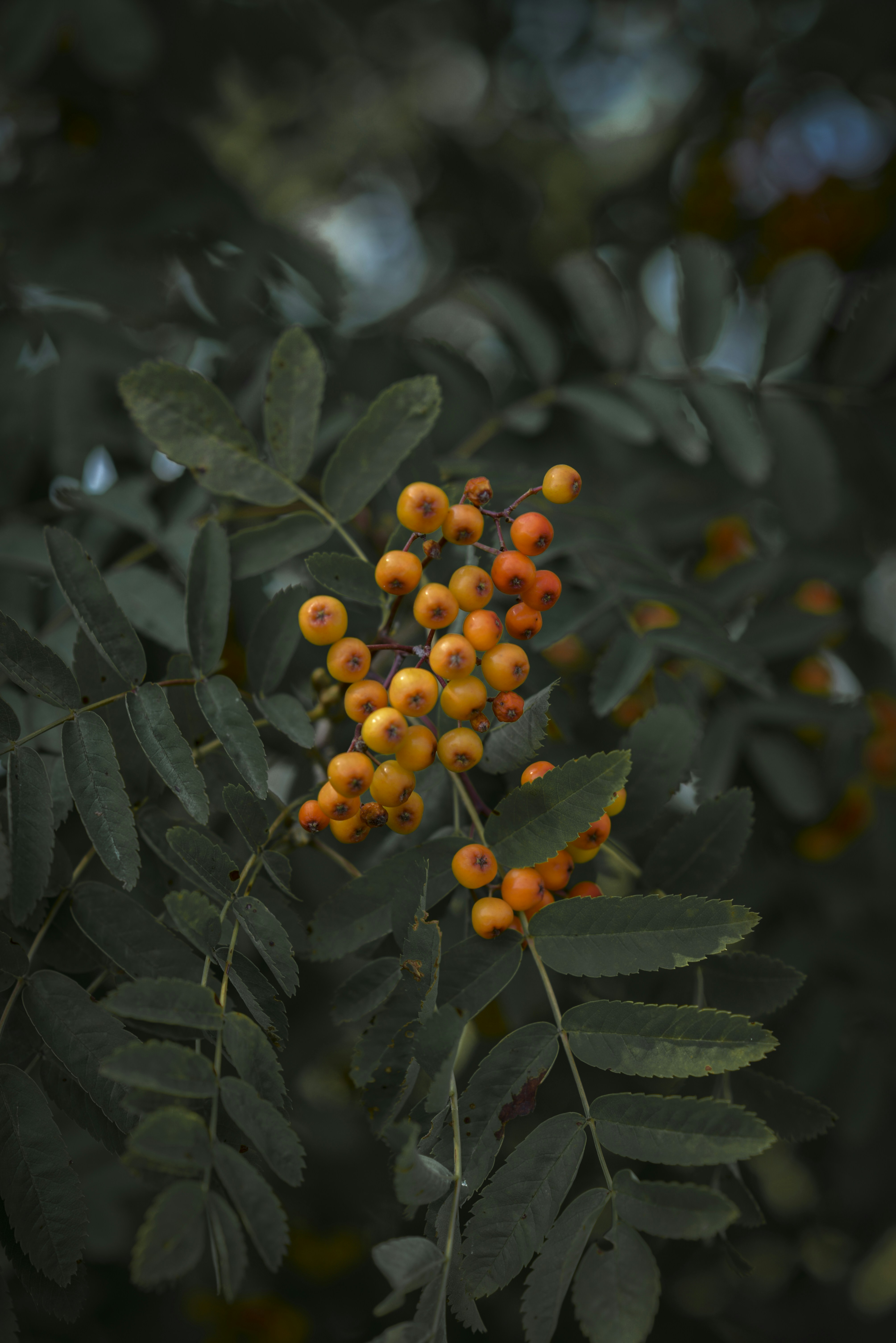 Photo by malwinanogaj