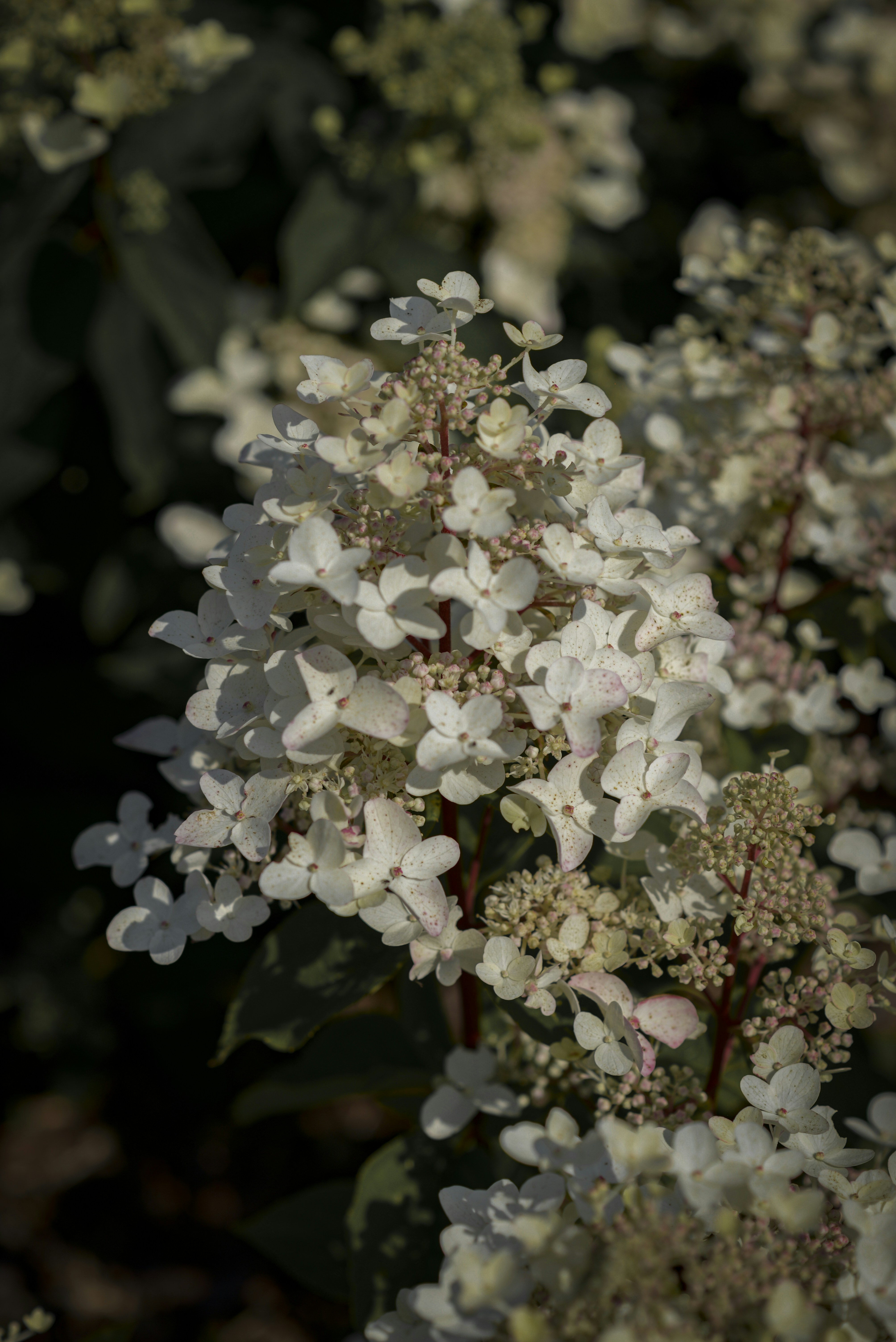 Photo by malwinanogaj