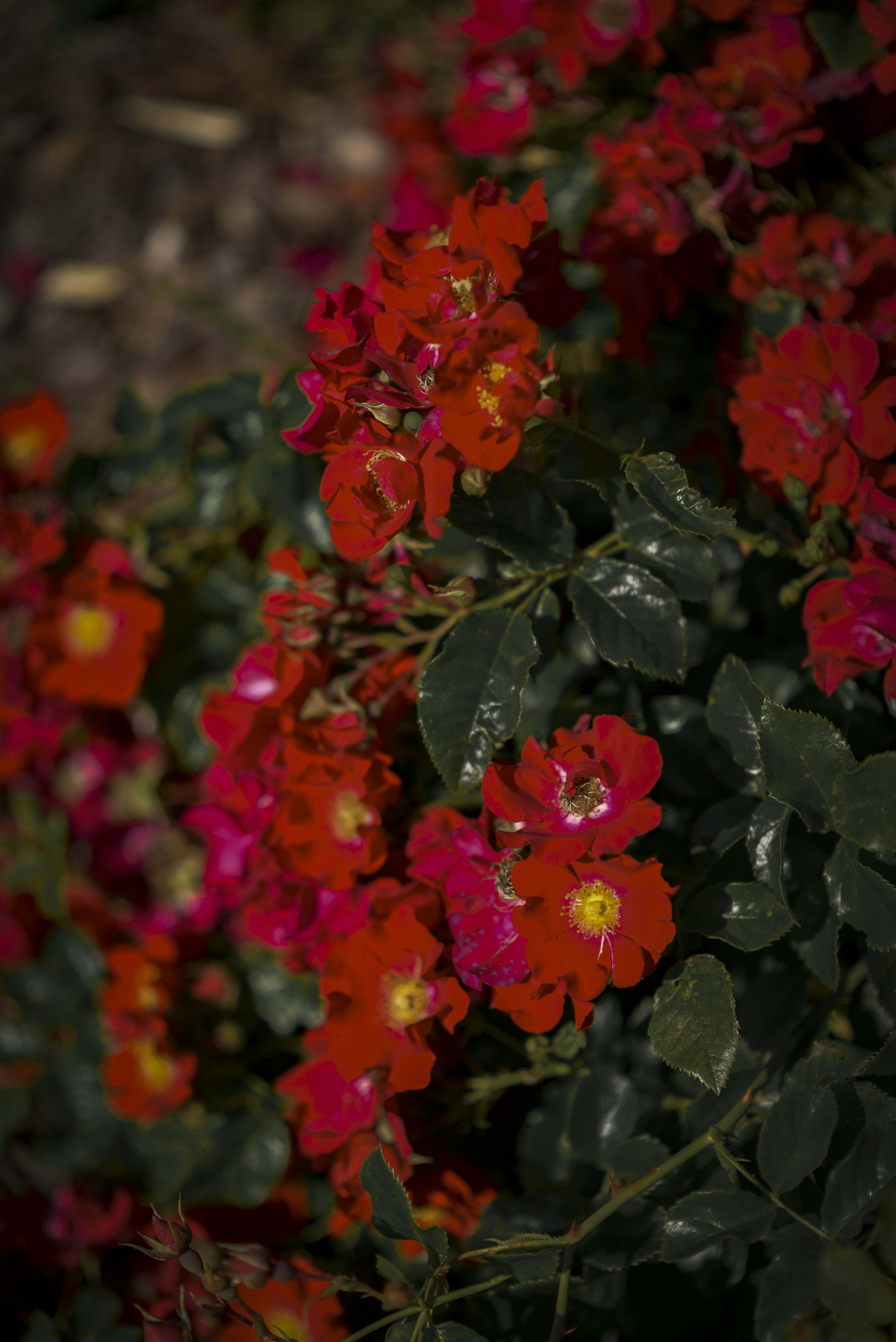 Photo by malwinanogaj