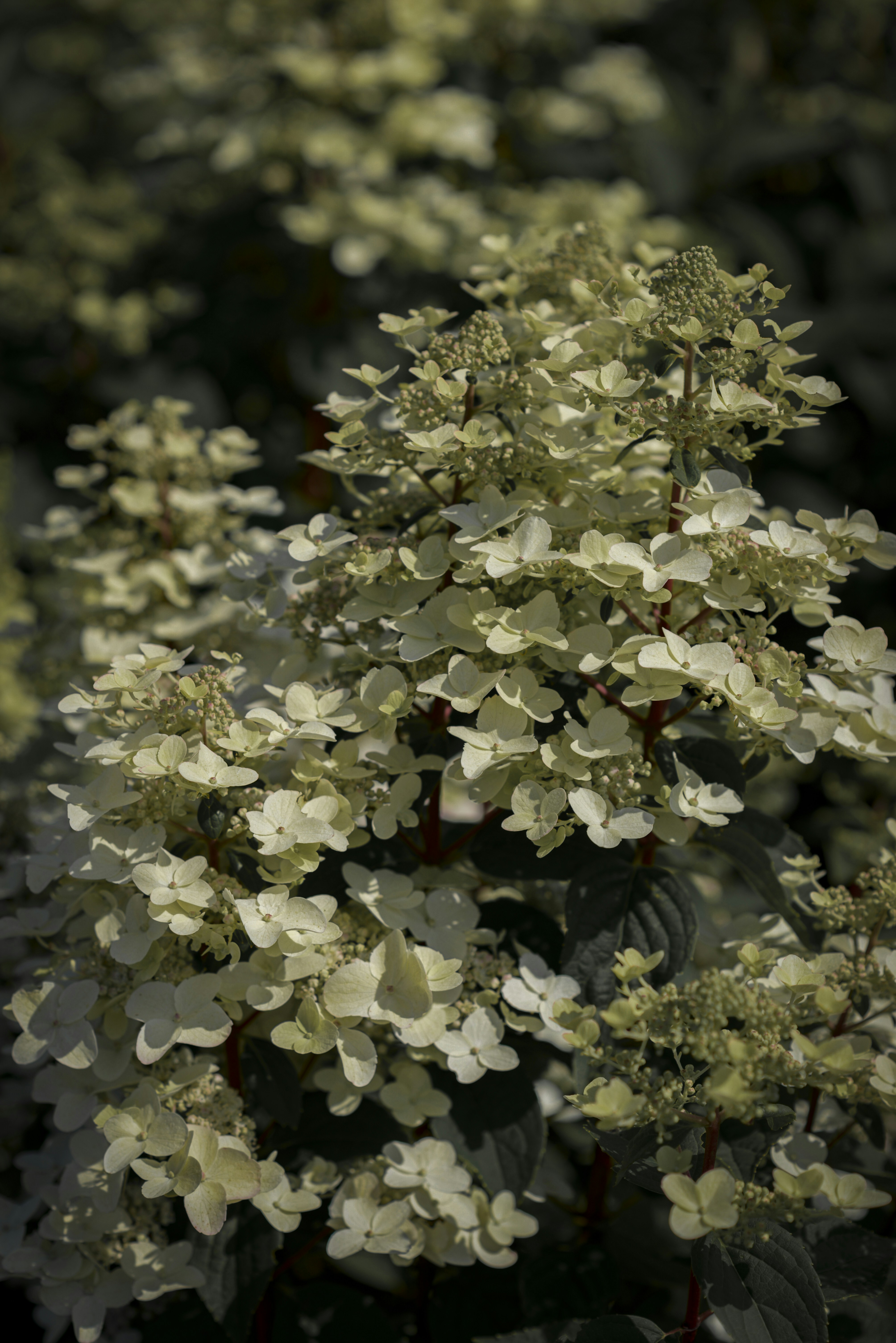 Photo by malwinanogaj